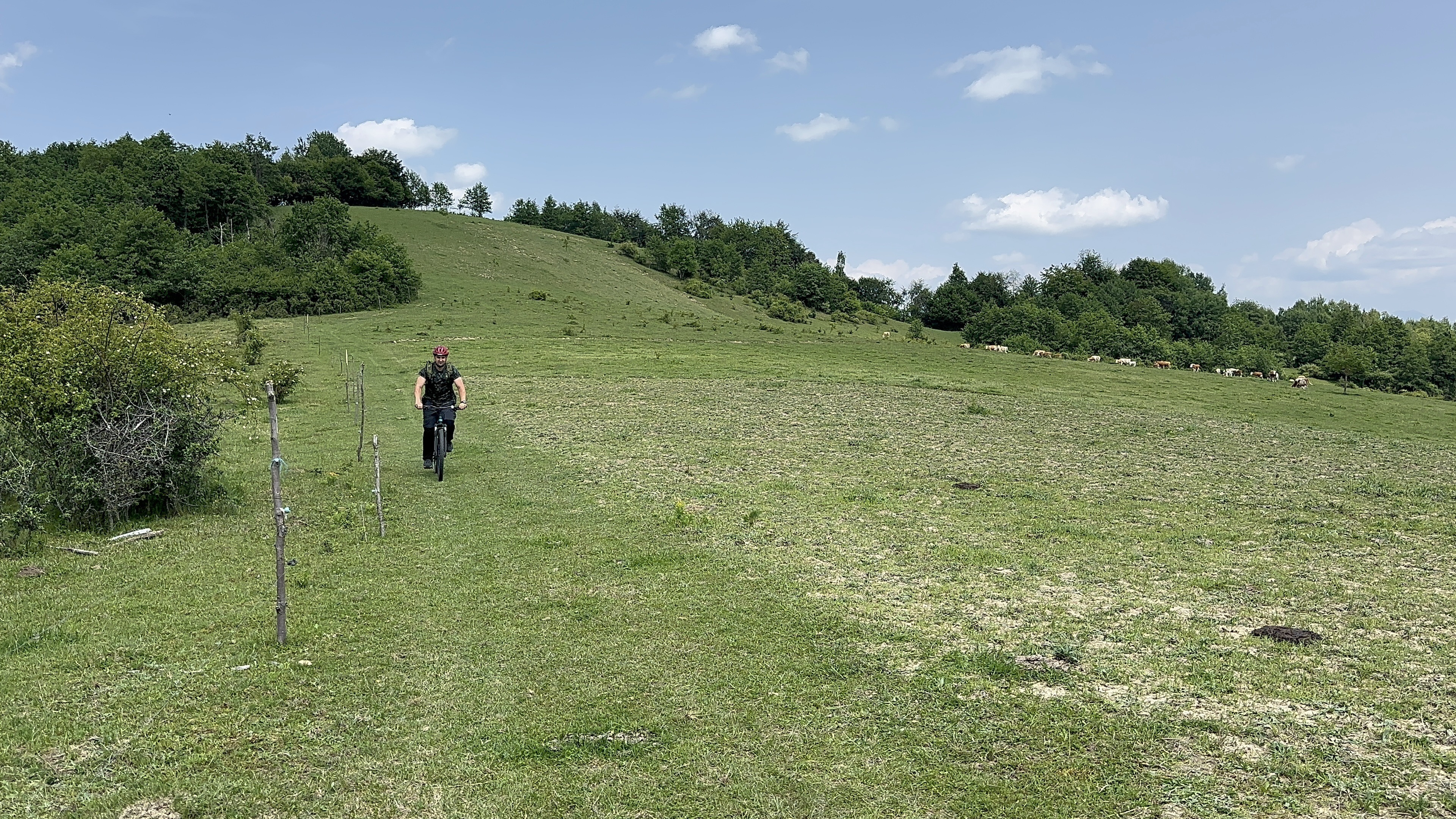 Photo 8 of the Bikemap route "47.433, 24.017 to 47.406, 24.022"