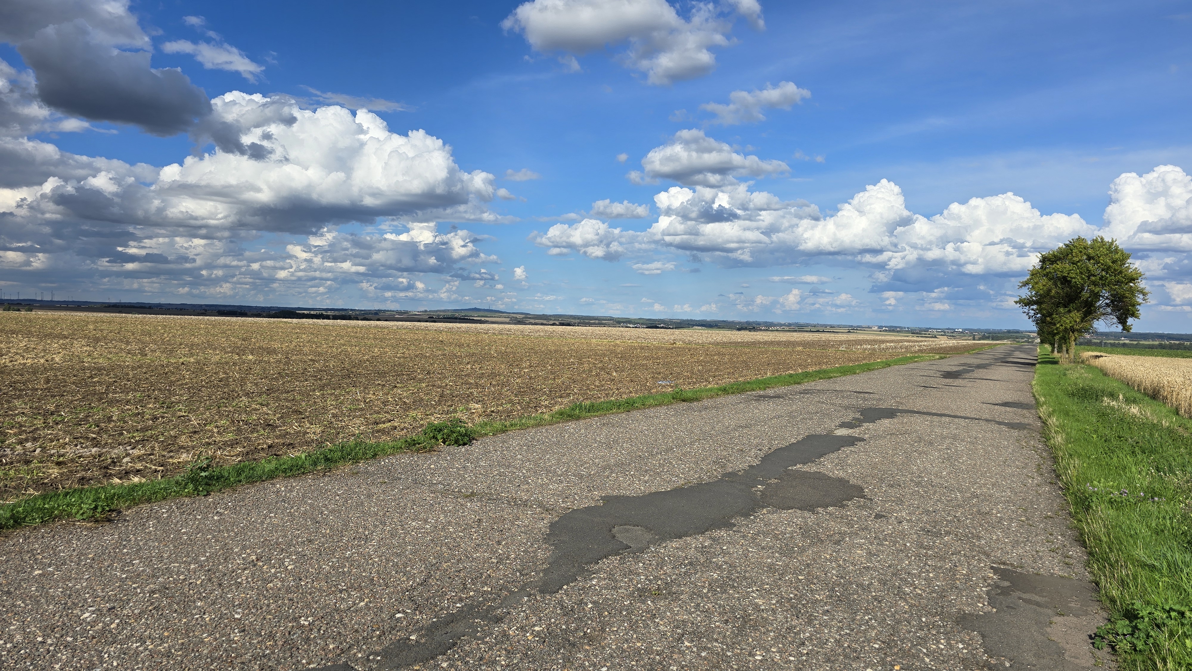 K2149 nach Lettiner Straße 37A