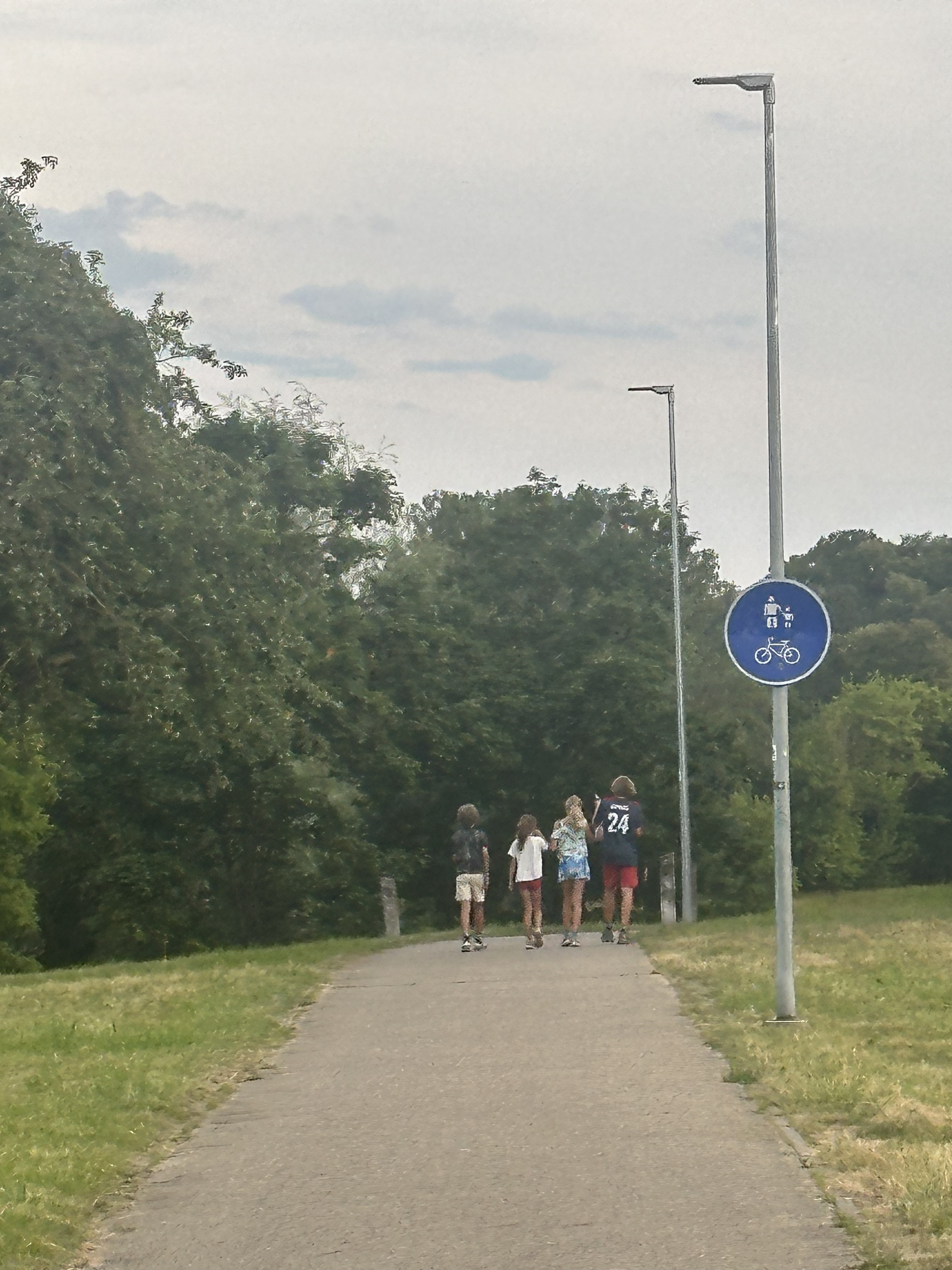 Photo 7 of the Bikemap route "Šeštokų g., Kaunas to Narsiečių g., Teleičiai"