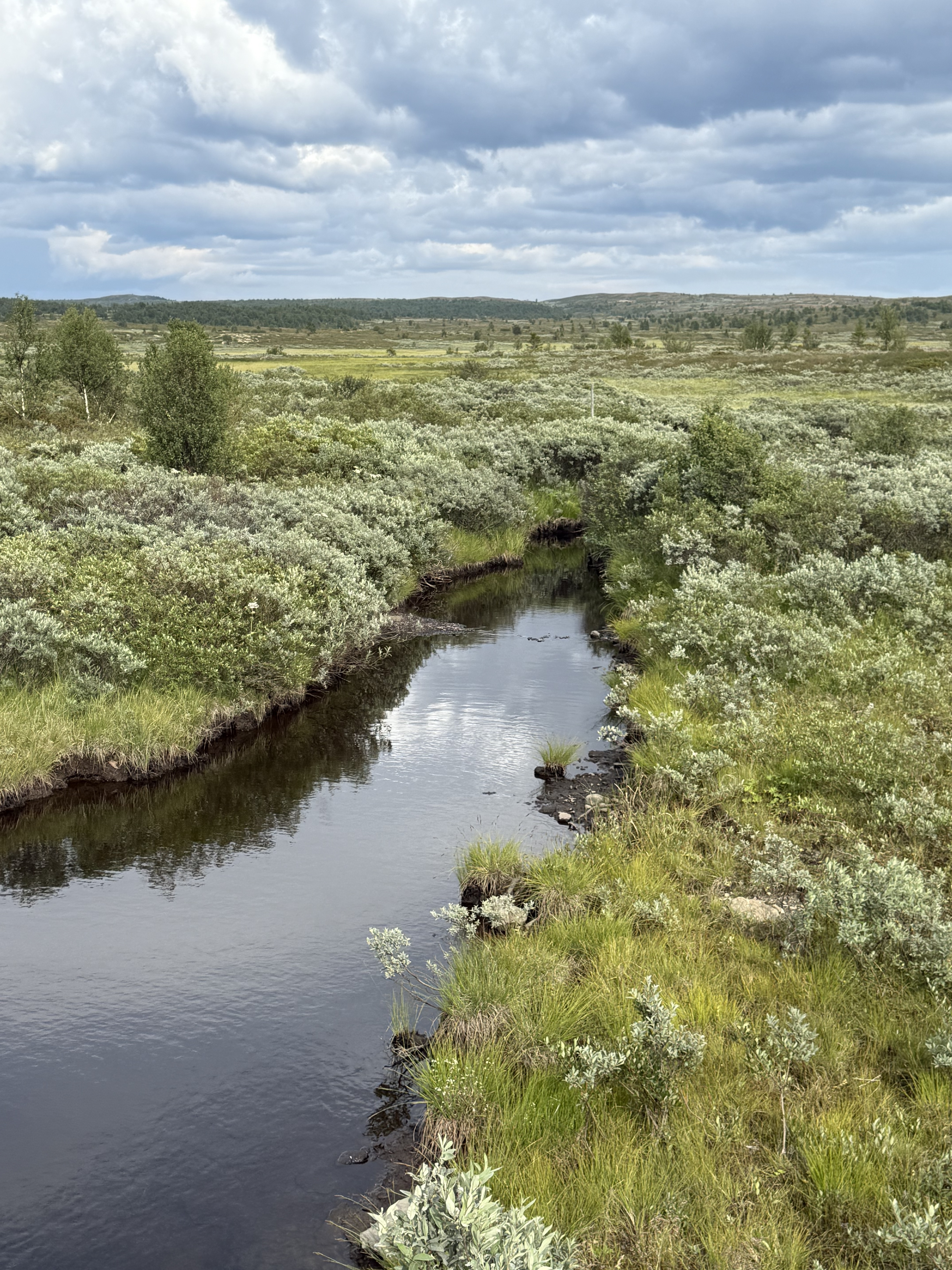 Valtjednvegen, Røn to Valtjednvegen, Røn