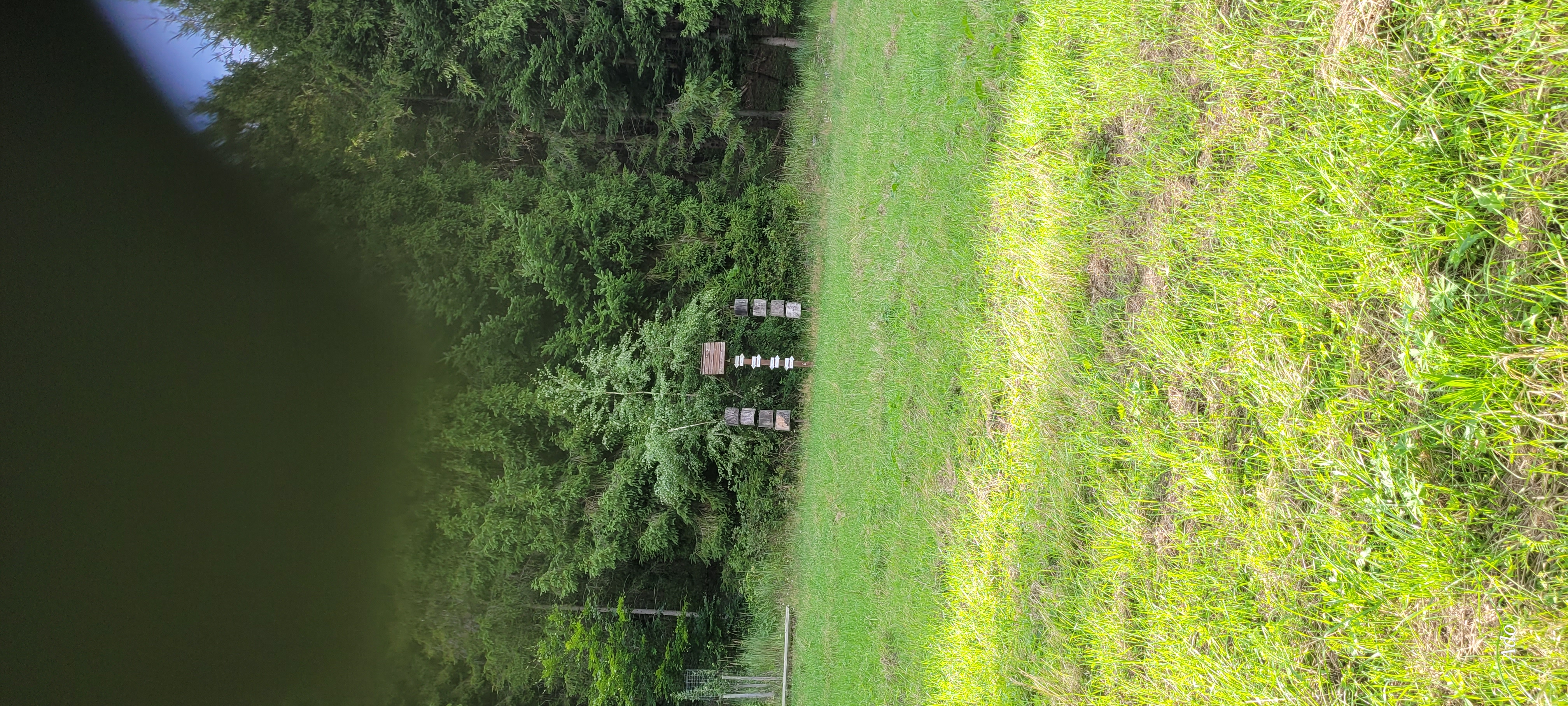 Trocha rekondičné kolena.