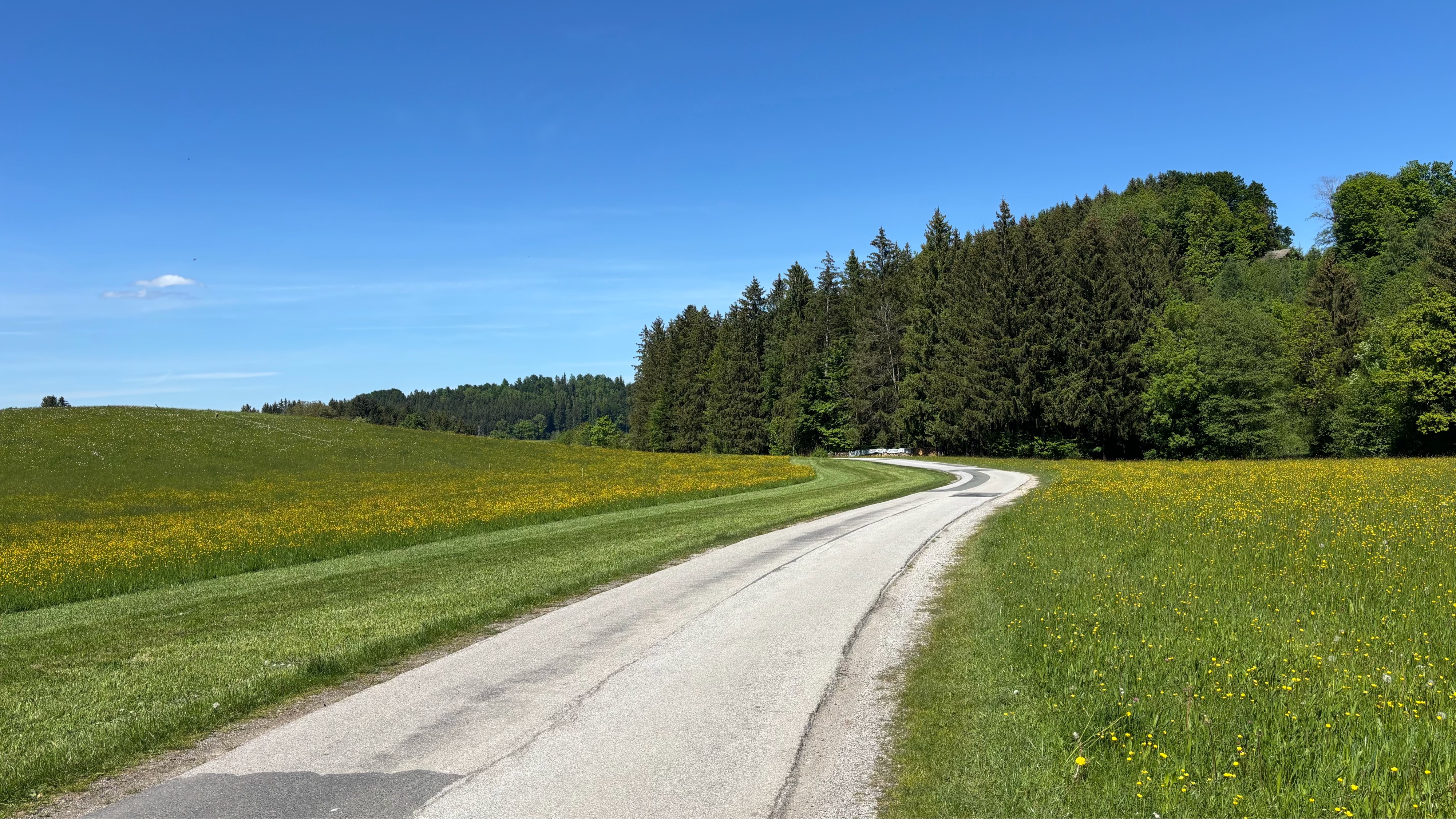 Salzburg - Henndorf - Steindorf - Friedburg - Lochen - Mattsee - Elixhausen - Salzburg