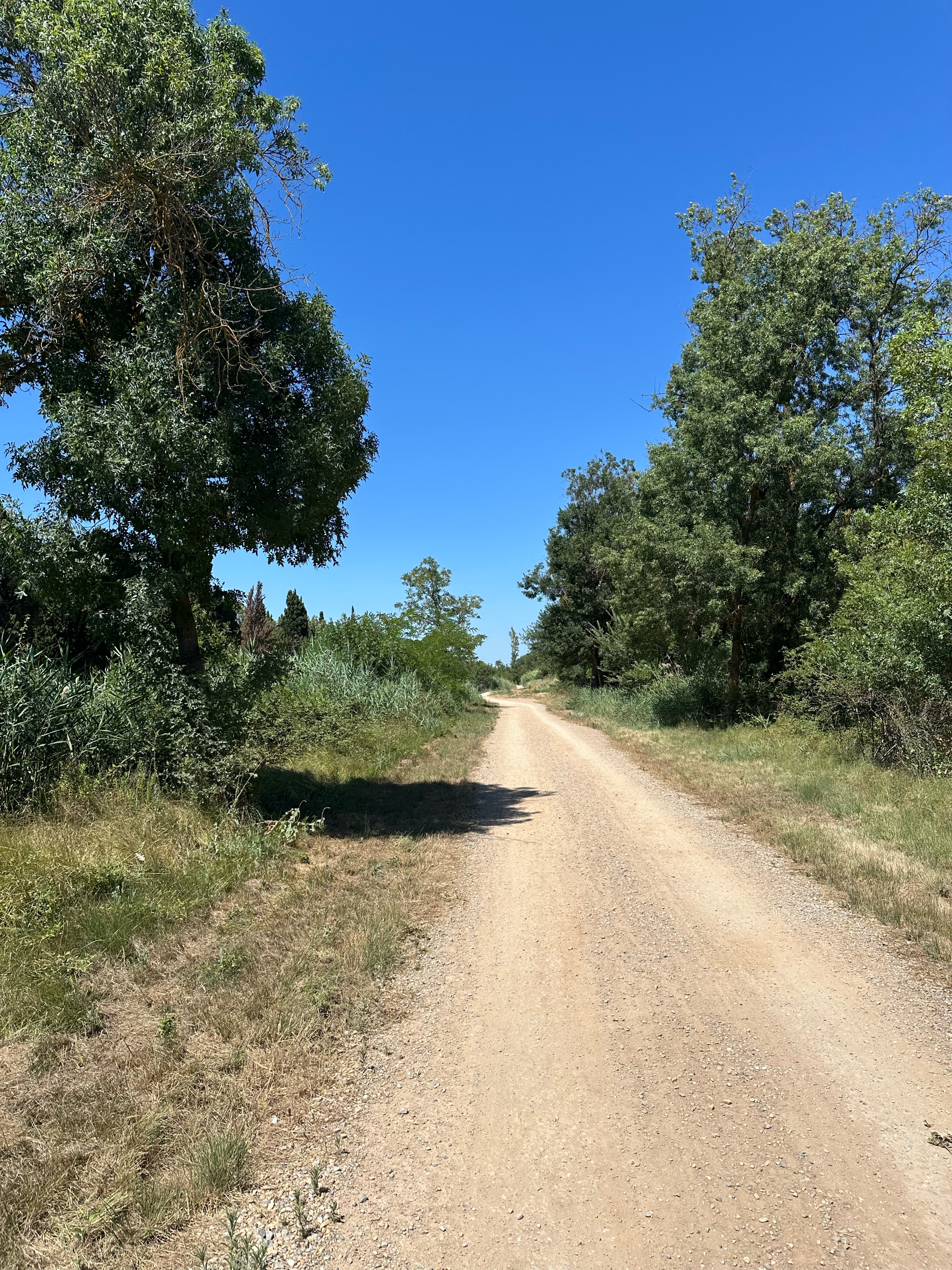 Route du Grau, Agde naar Avenue de la Mediterranee, Vias