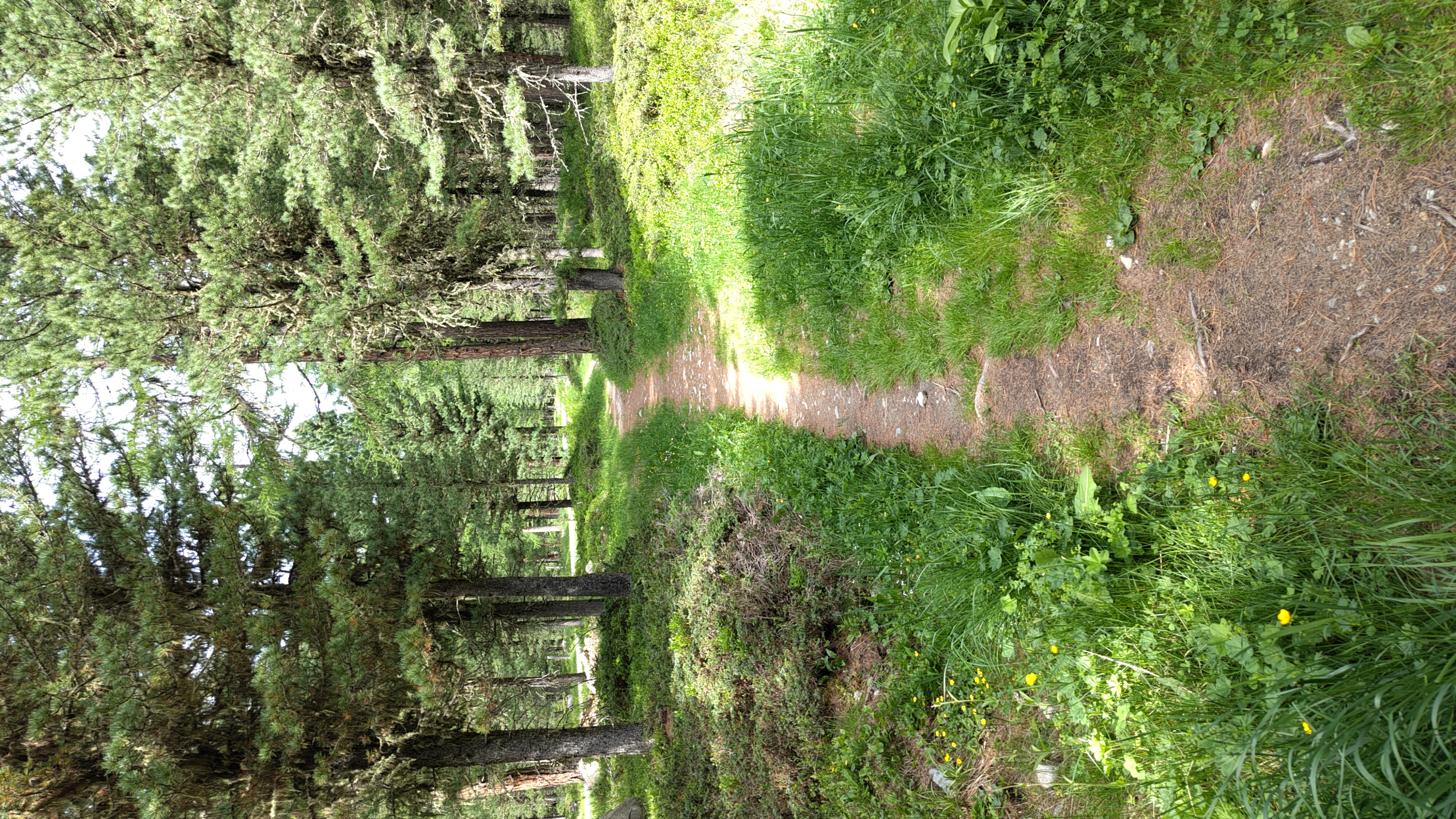 Foto 4 der Bikemap-Route "Champfer-Val Roseg-Runde" Foto 4 der Bikemap-Route "Champfer-Val Roseg-Runde"