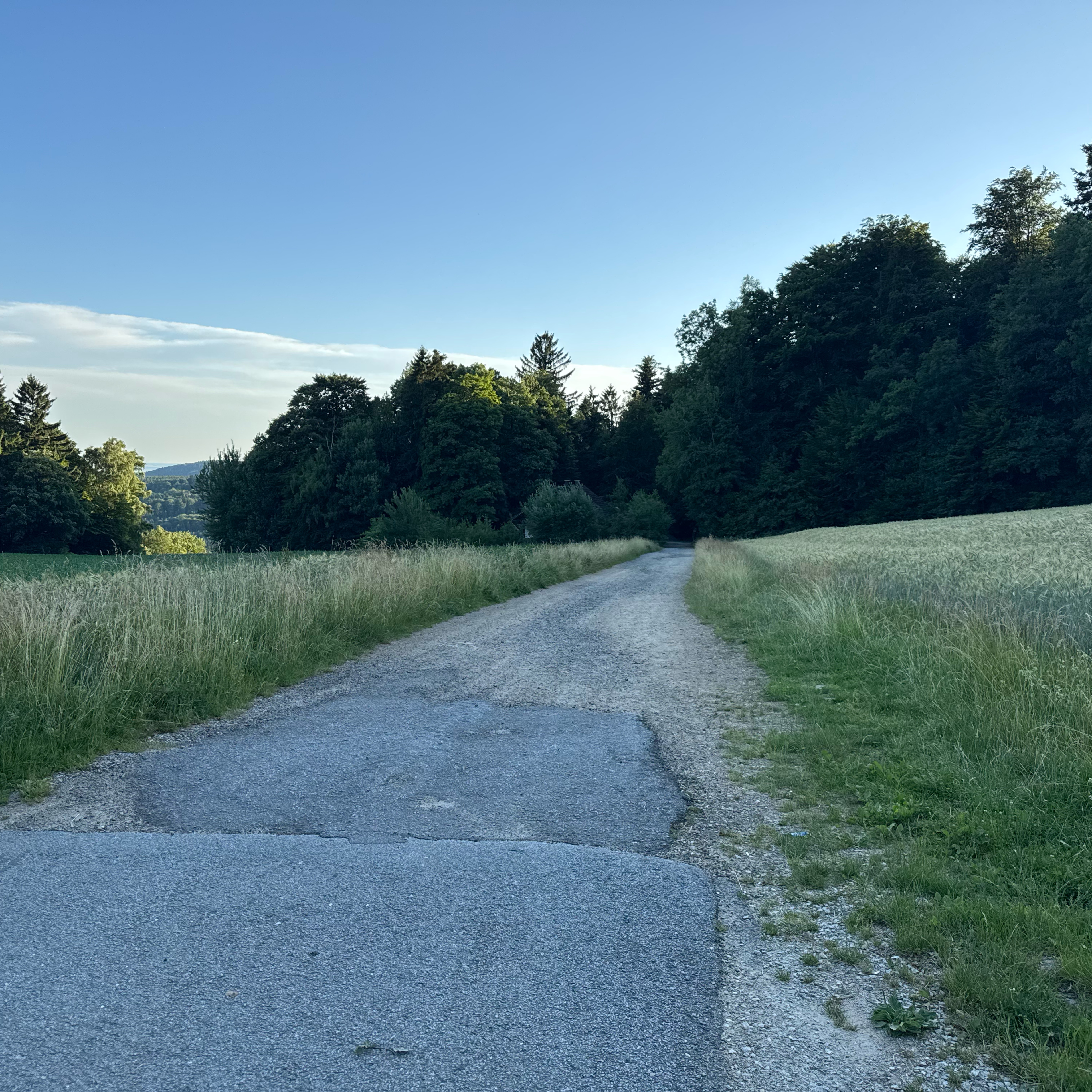 Hausstein, Schaufling nach Hausstein, Schaufling