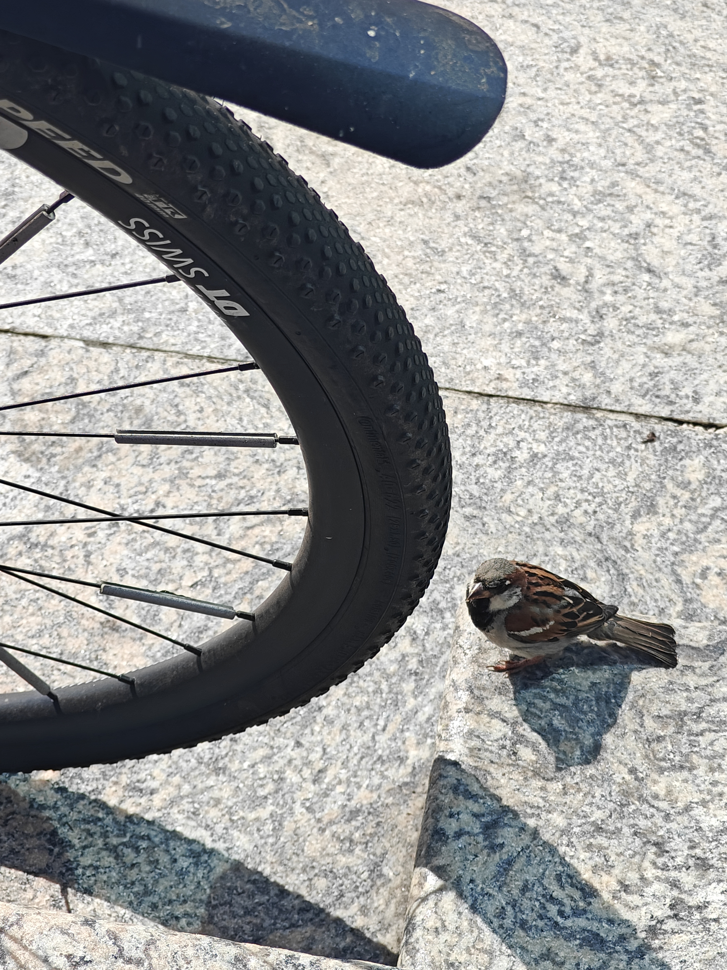 Esplanade nach Koetsierbaan