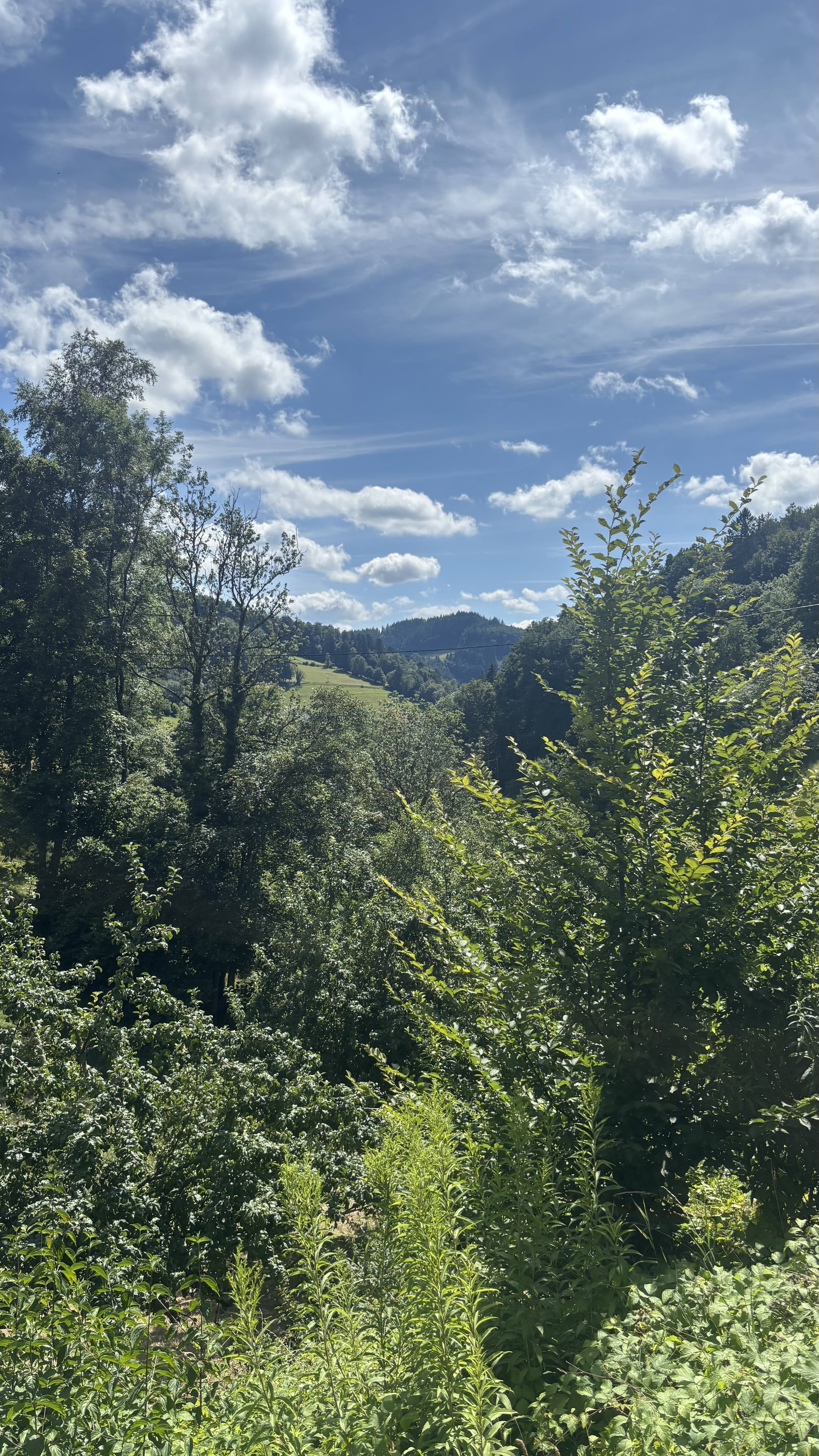 Krozinger Straße, Staufen im Breisgau - St Ulrich, Bollschweil