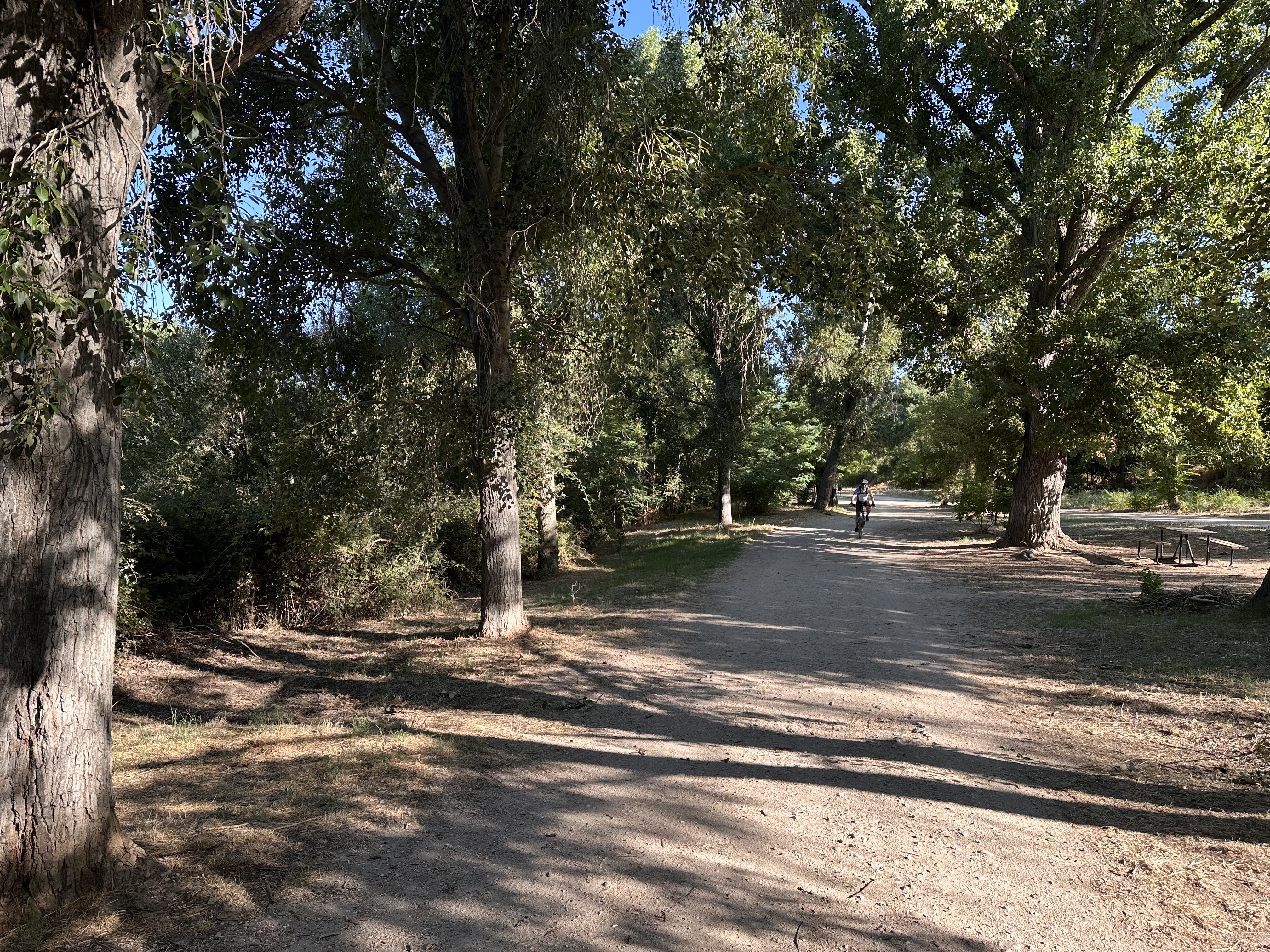 M-605, Madrid to Calle Nueva de el Pardo, Madrid