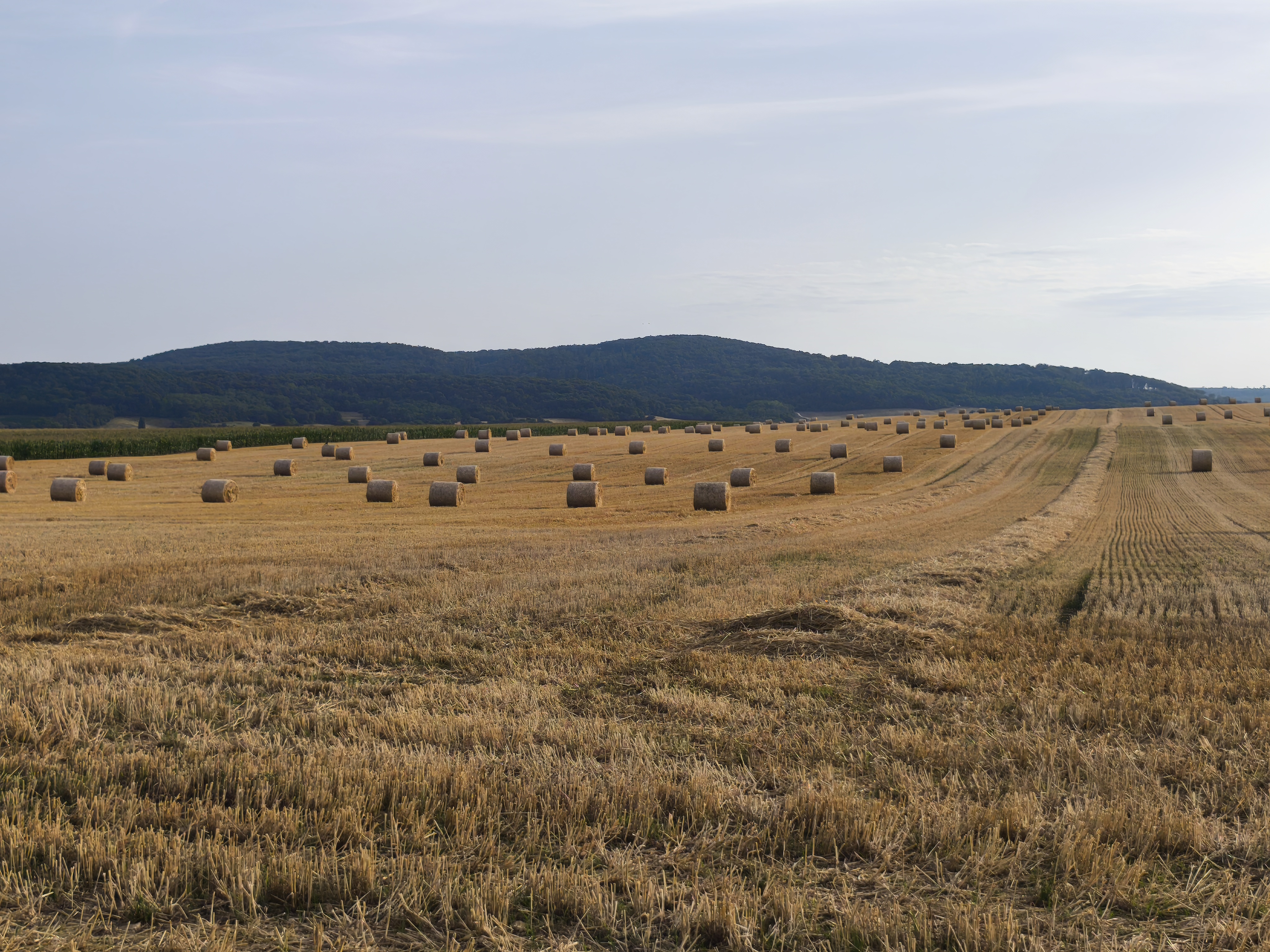 Pula 🇭🇺 Kapolcs