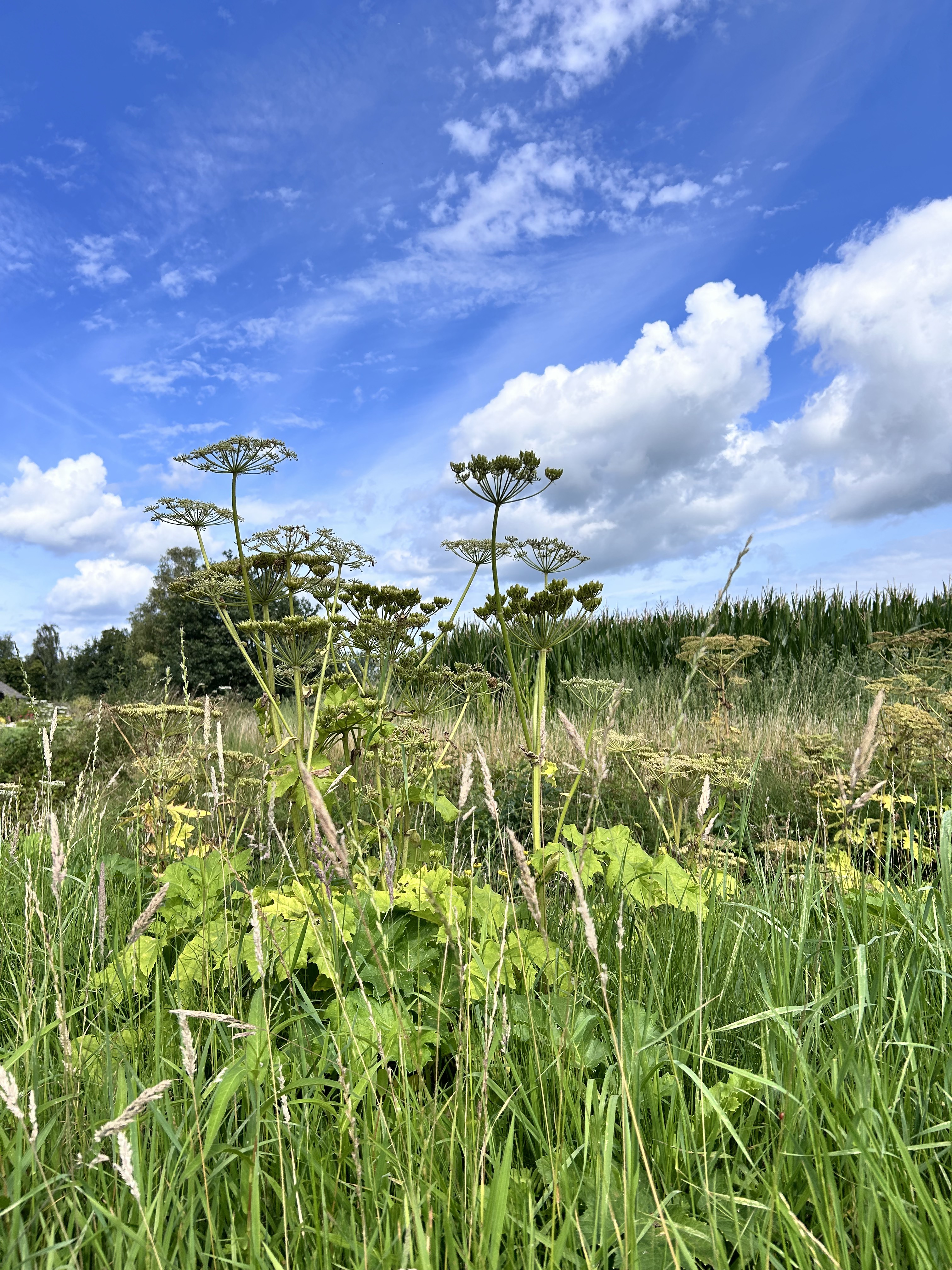 Foto 3 der Bikemap-Route "District 01, Doesburg nach District 01, Doesburg" Foto 3 der Bikemap-Route "District 01, Doesburg nach District 01, Doesburg"