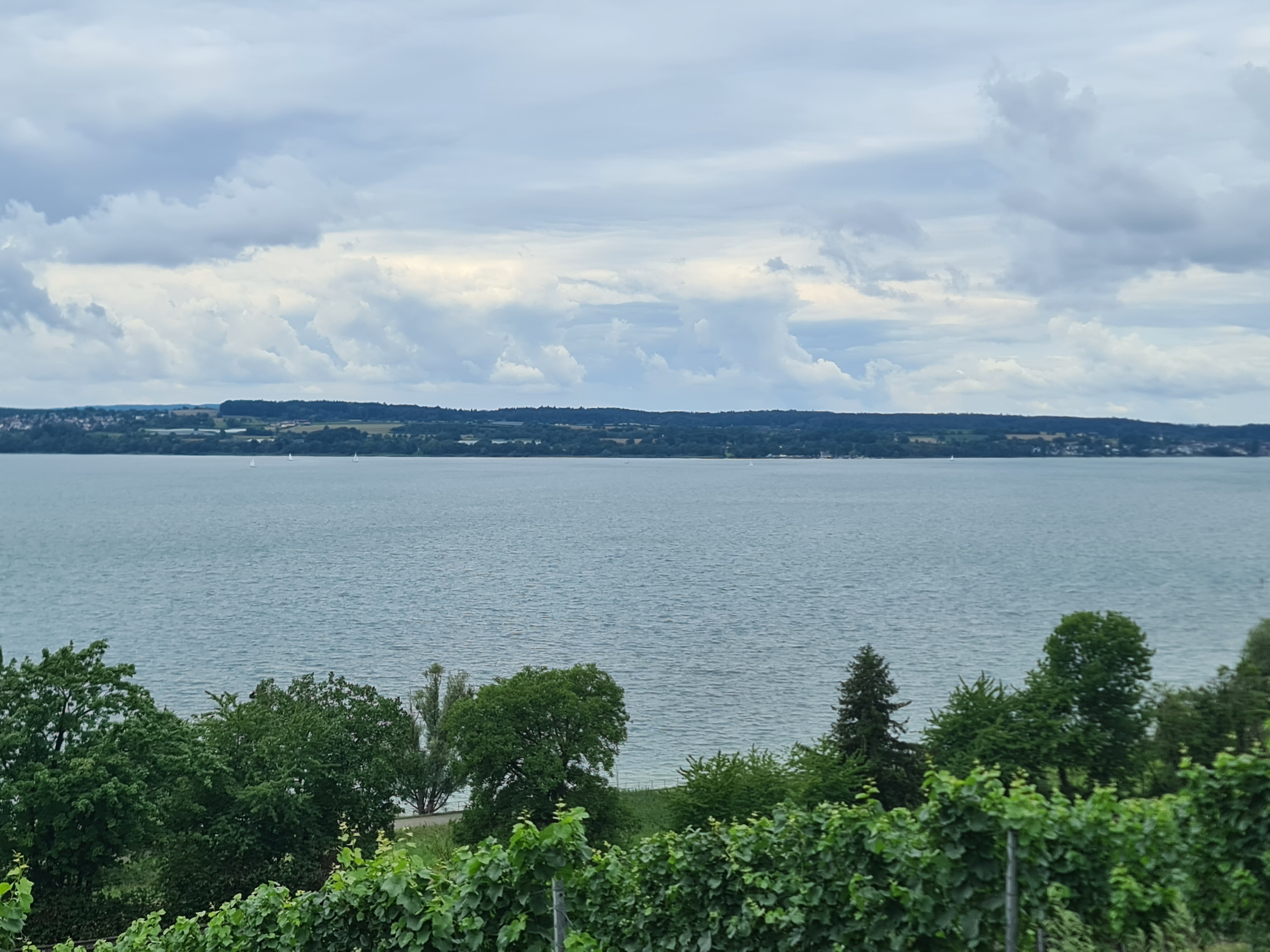 Hardtstraße nach Meersburg Gehauweg