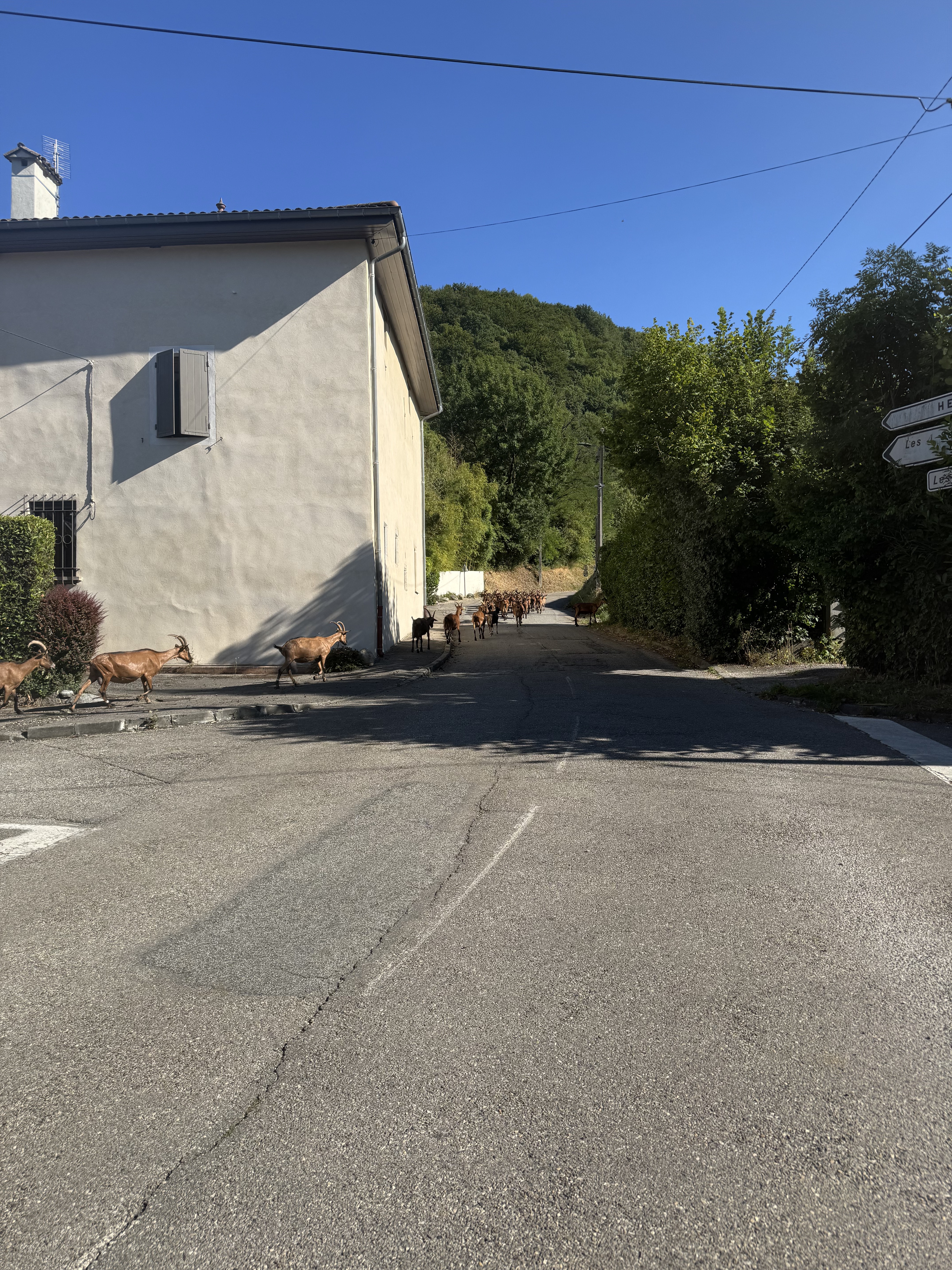 Grenoble à Chemin de la Châtaigneraie, Vaulnaveys-le-Bas