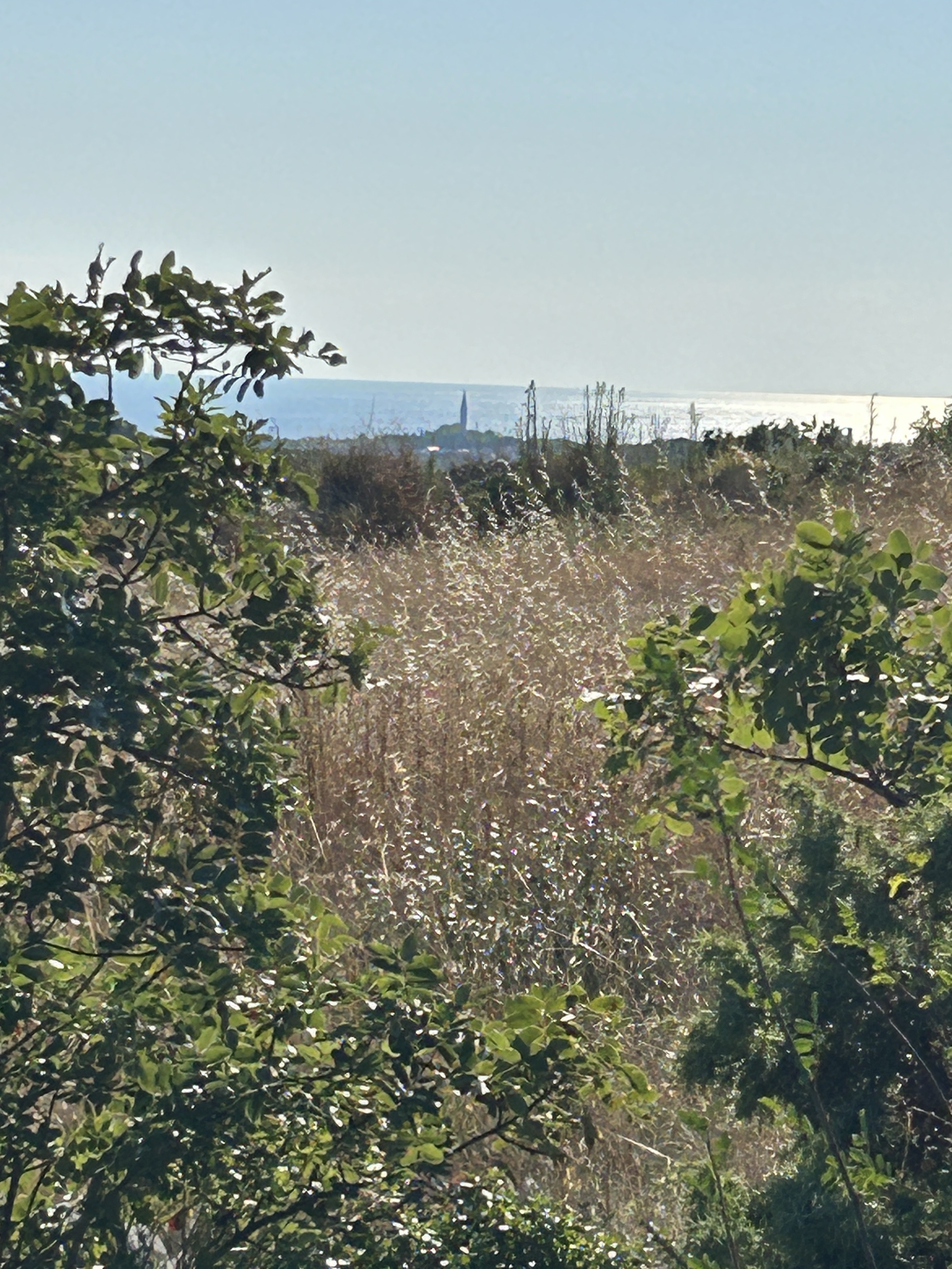 Foto 7 del percorso Bikemap "Državna Cesta 75, Jural nach Rovinj V, Rovinj" Foto 7 del percorso Bikemap "Državna Cesta 75, Jural nach Rovinj V, Rovinj"