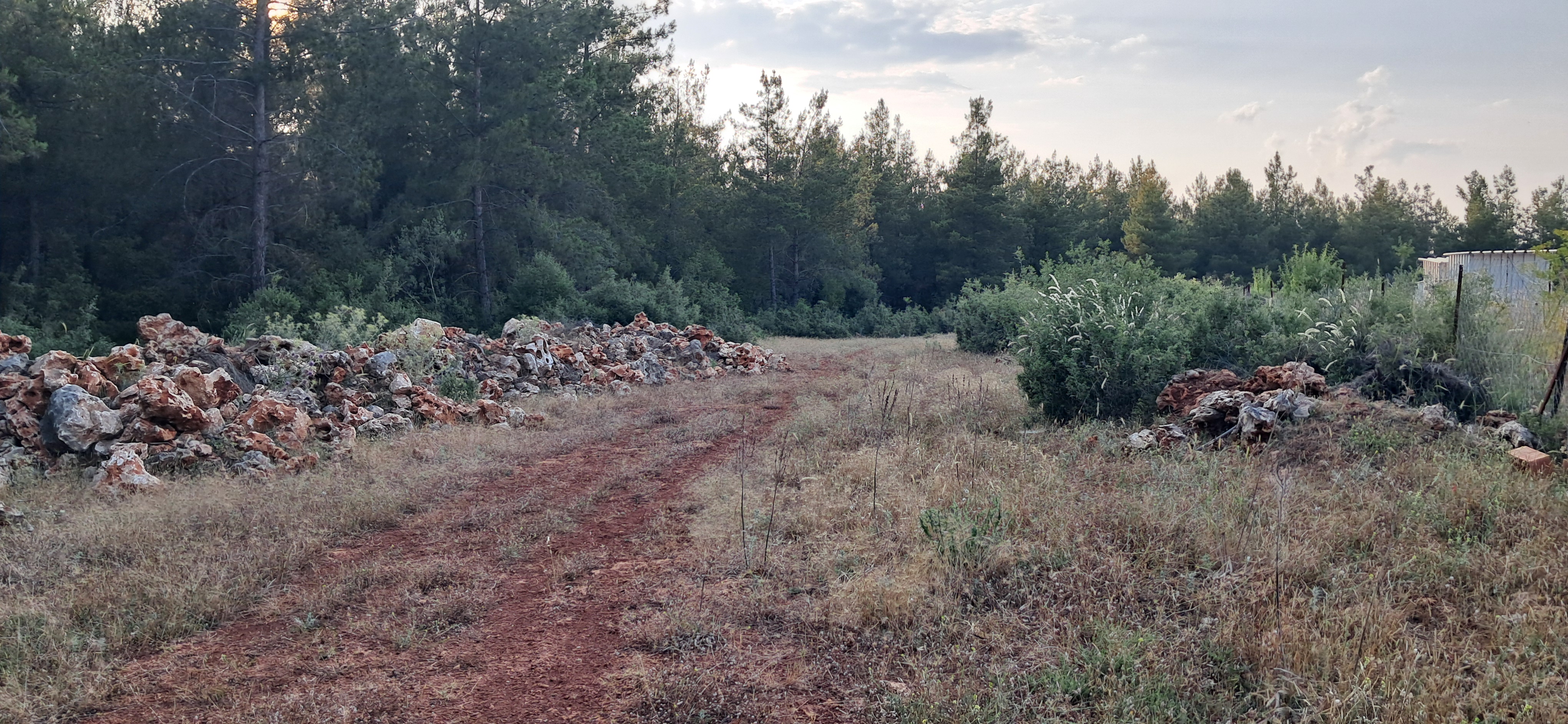 Photo 8 of the Bikemap route "Dereli"