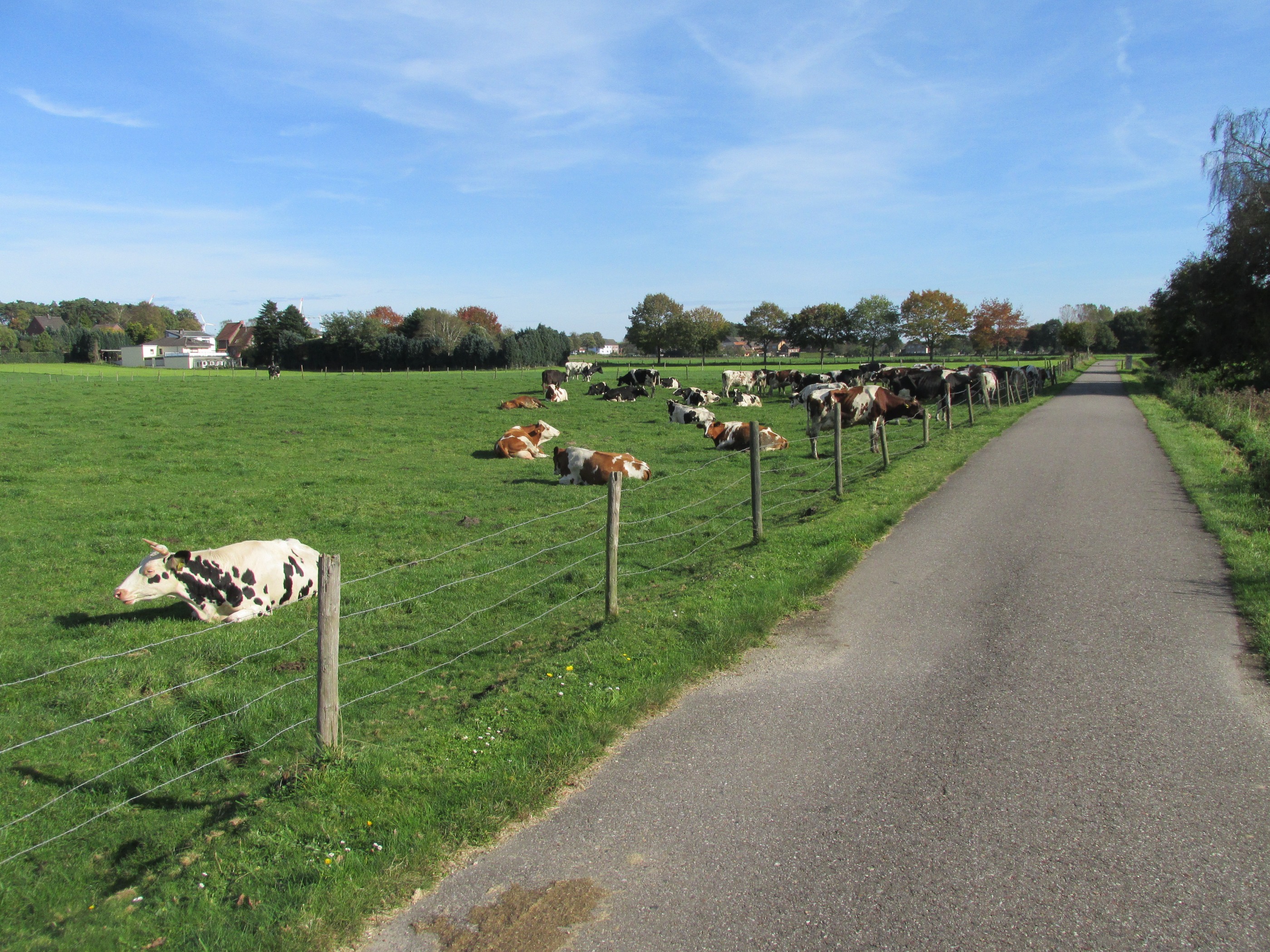 Von Heinsberg bis Gangelt