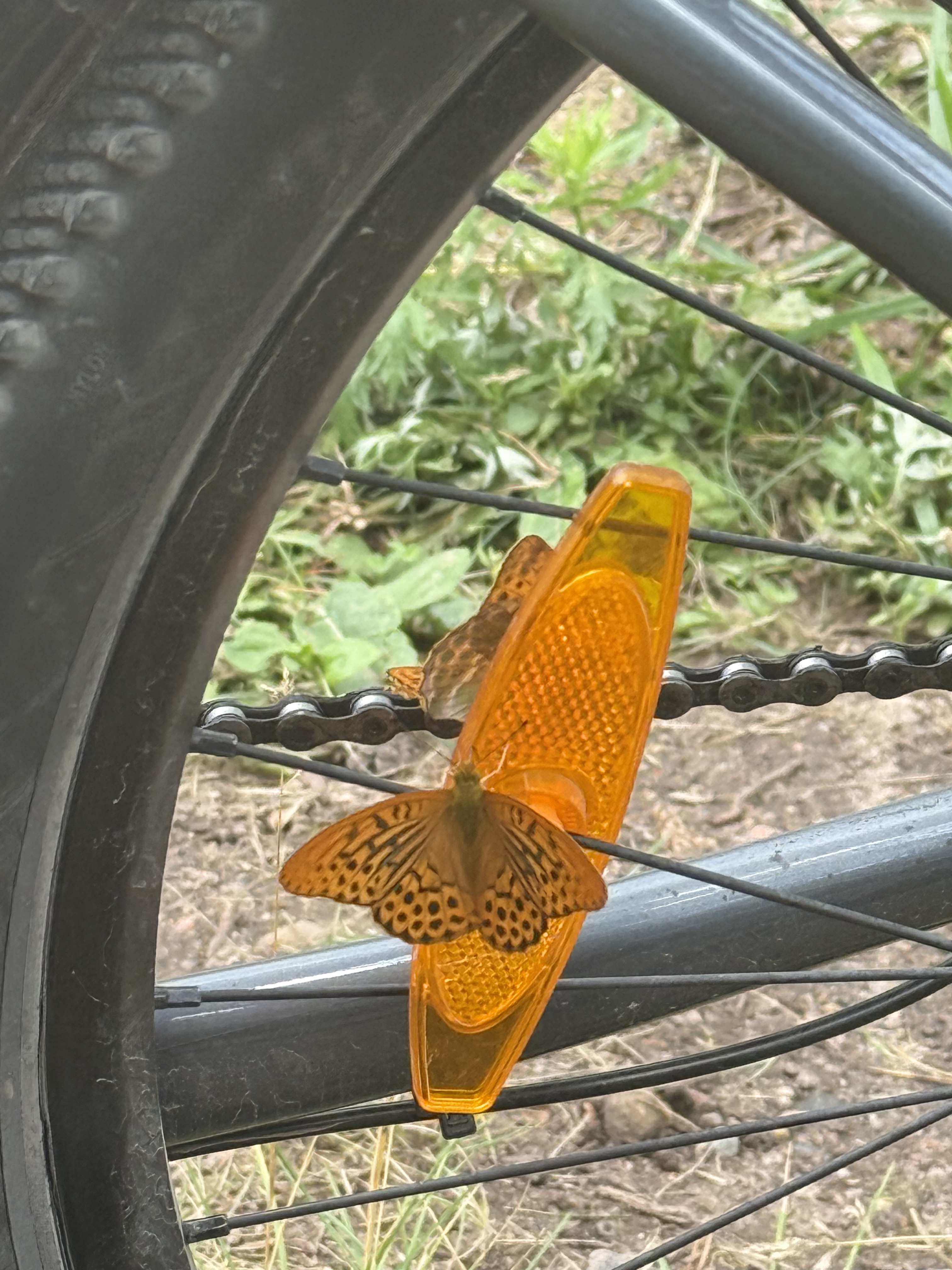 Foto 3 de la ruta de Bikemap "I Daszyńskiego, Suwałki do I Daszyńskiego, Suwałki" Foto 3 de la ruta de Bikemap "I Daszyńskiego, Suwałki do I Daszyńskiego, Suwałki"