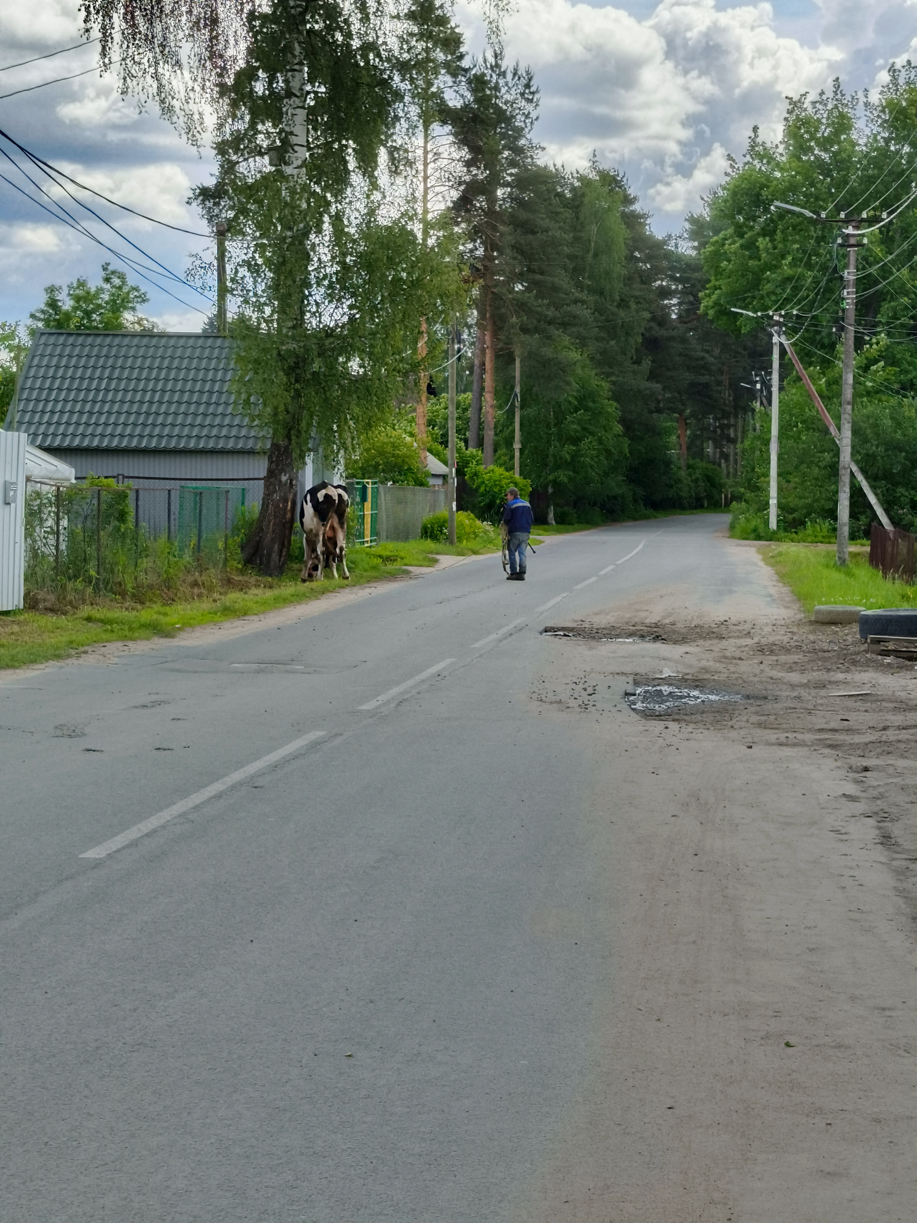 От шоссе дорога Жизни до Почтовая улица