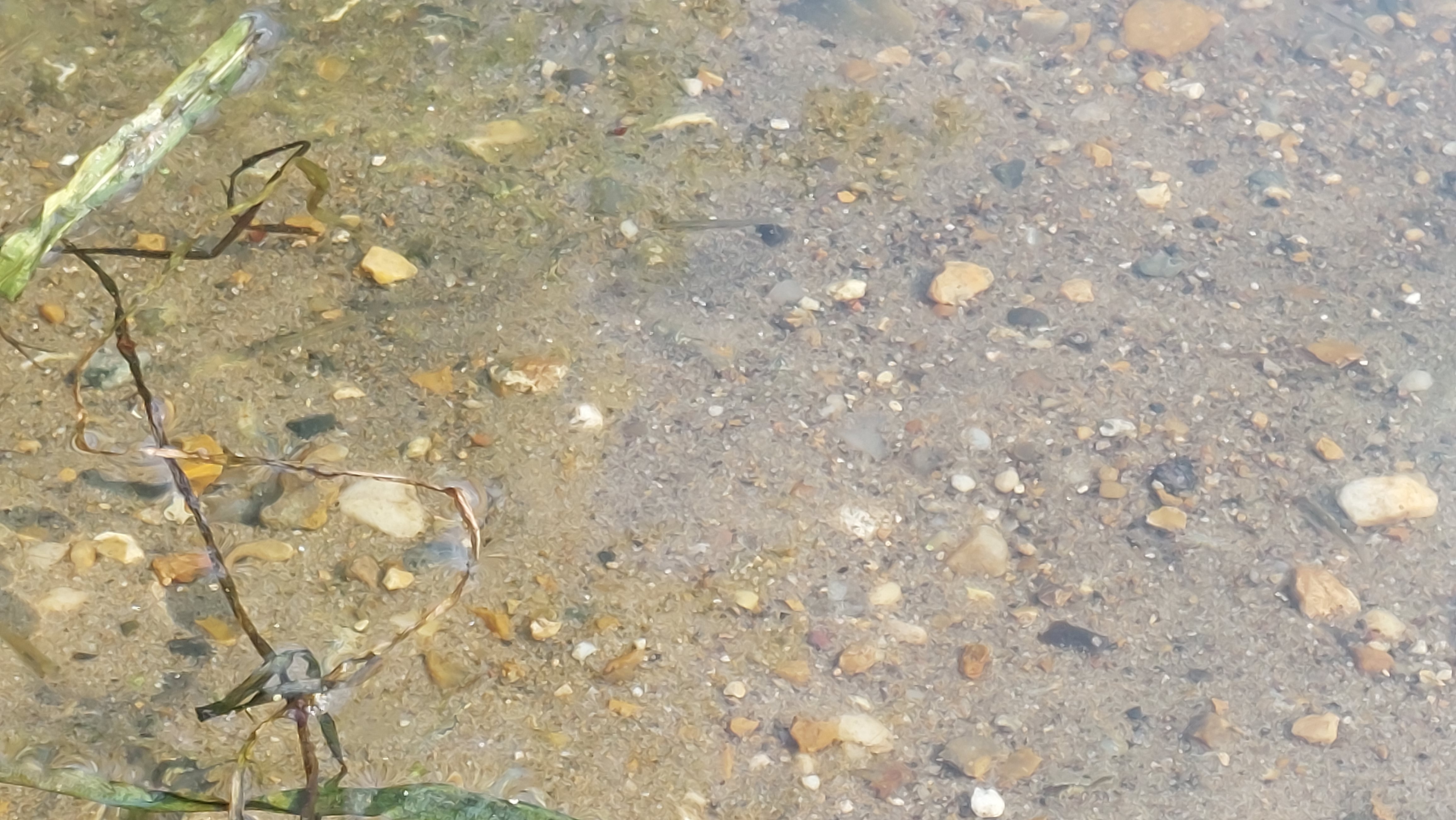 All Saints Green to Smedley Close