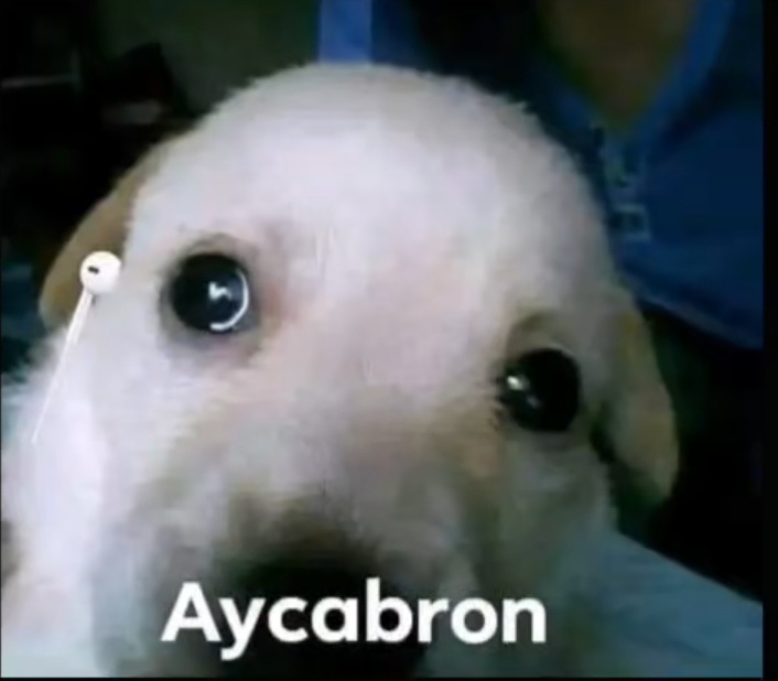 De Avenida de San Diego a Avenida de San Diego