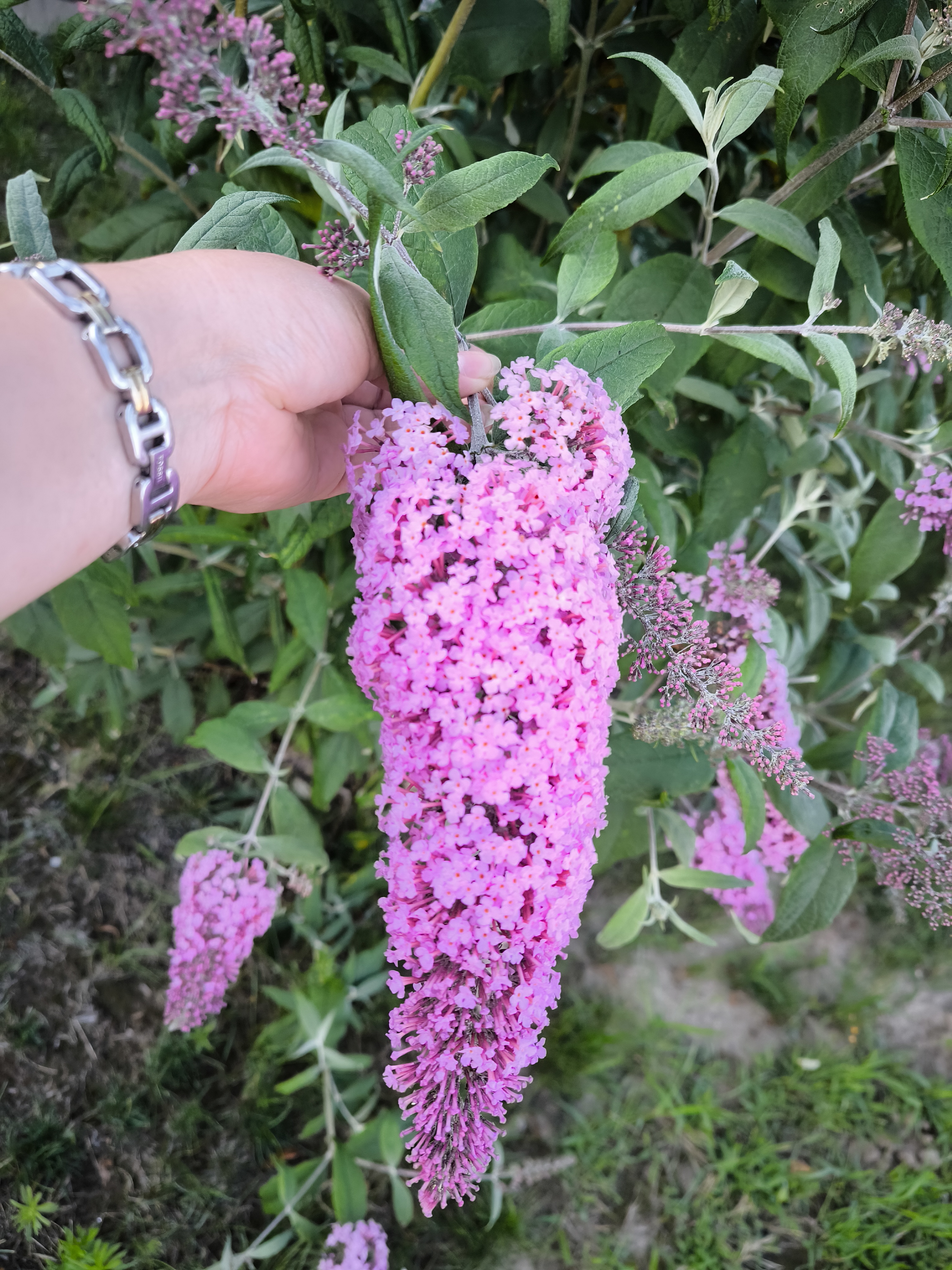 Zdjęcie 2 trasy Bikemap „Wittekindsweg nach Wittekindsweg 12B” Zdjęcie 2 trasy Bikemap „Wittekindsweg nach Wittekindsweg 12B”