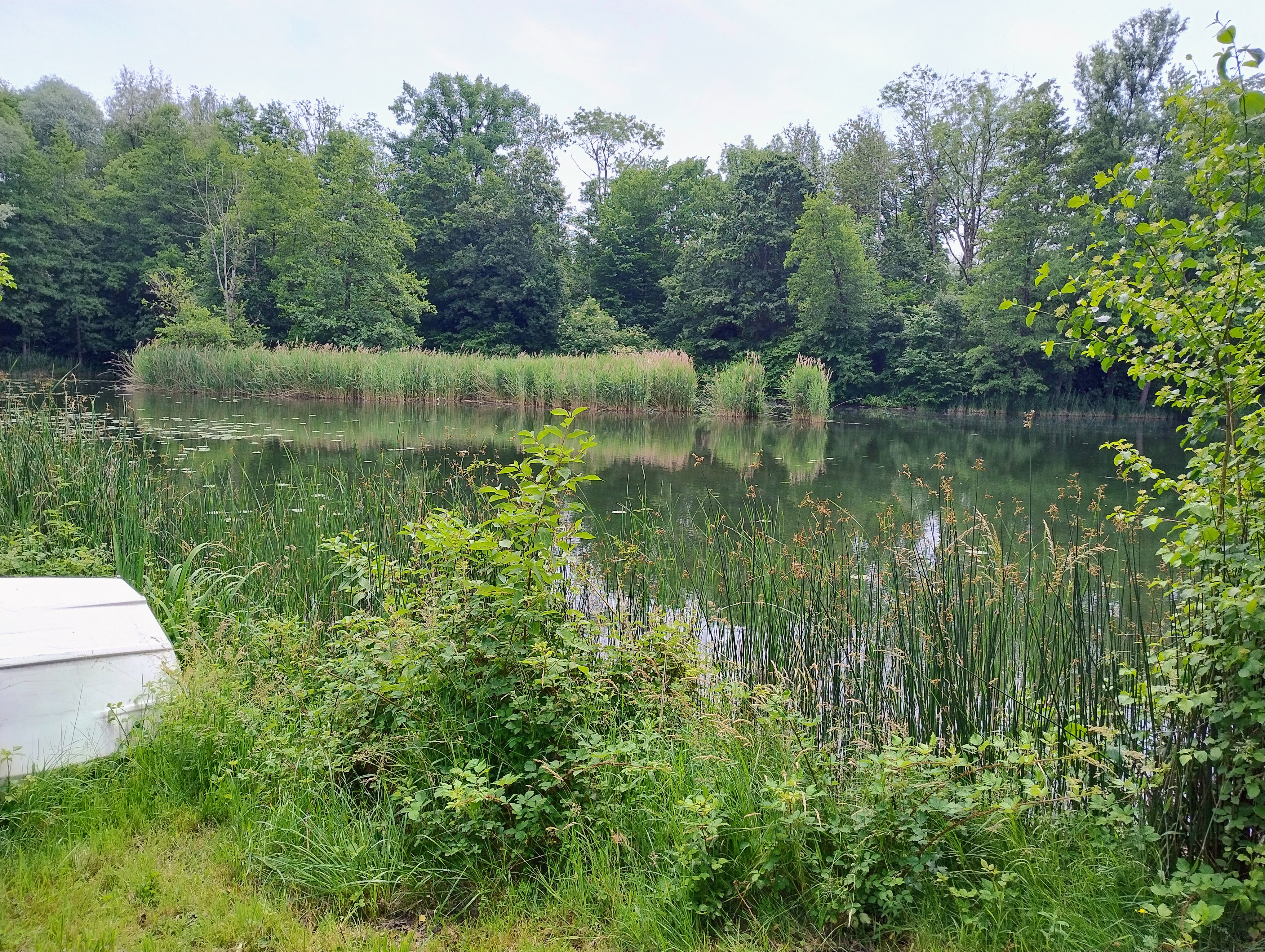 43km Wollmarshöhe Waldburg Kongo Niemandsfreund