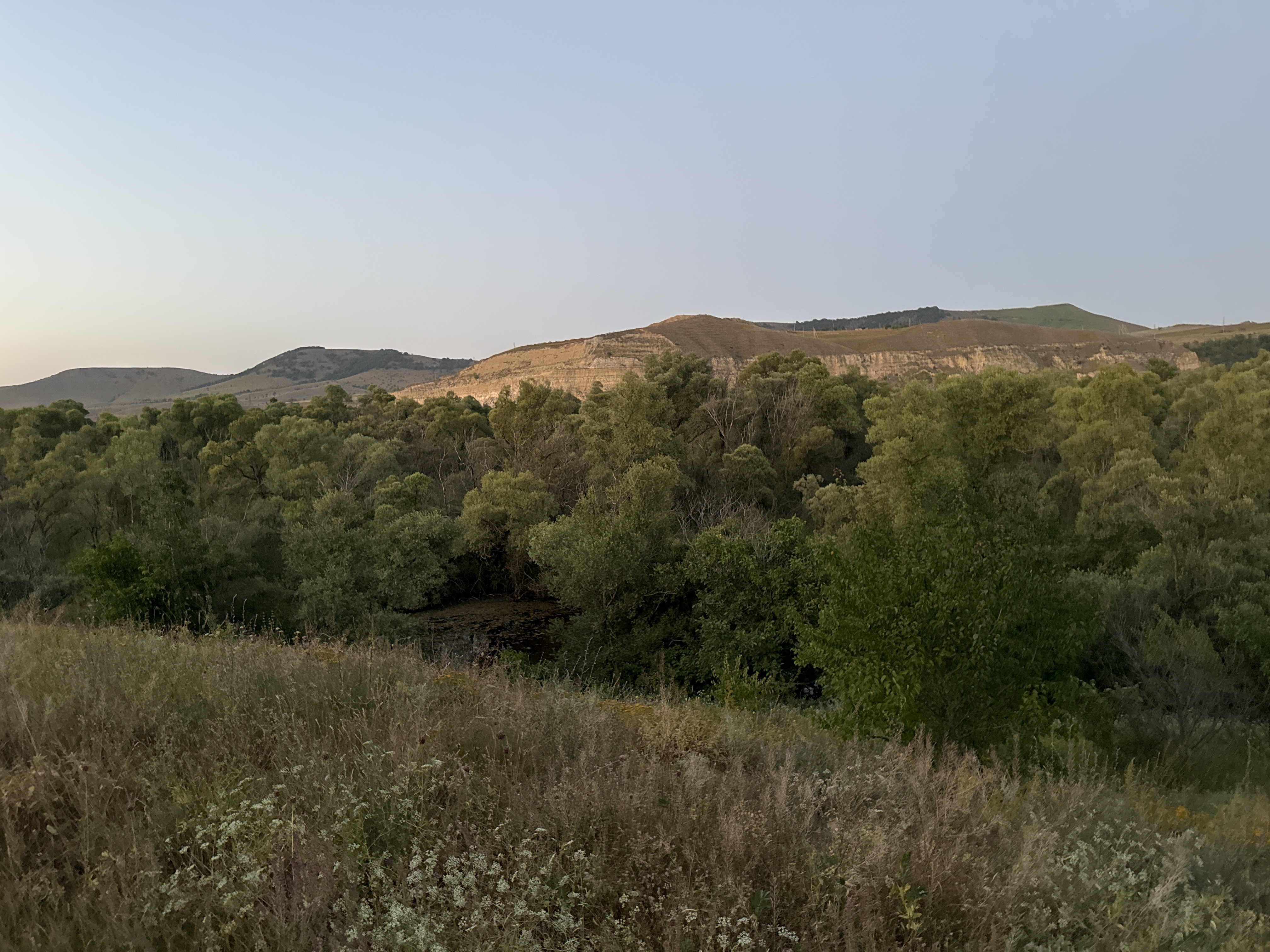 Nogaysky District to Ust-Dzhegutinsky District
