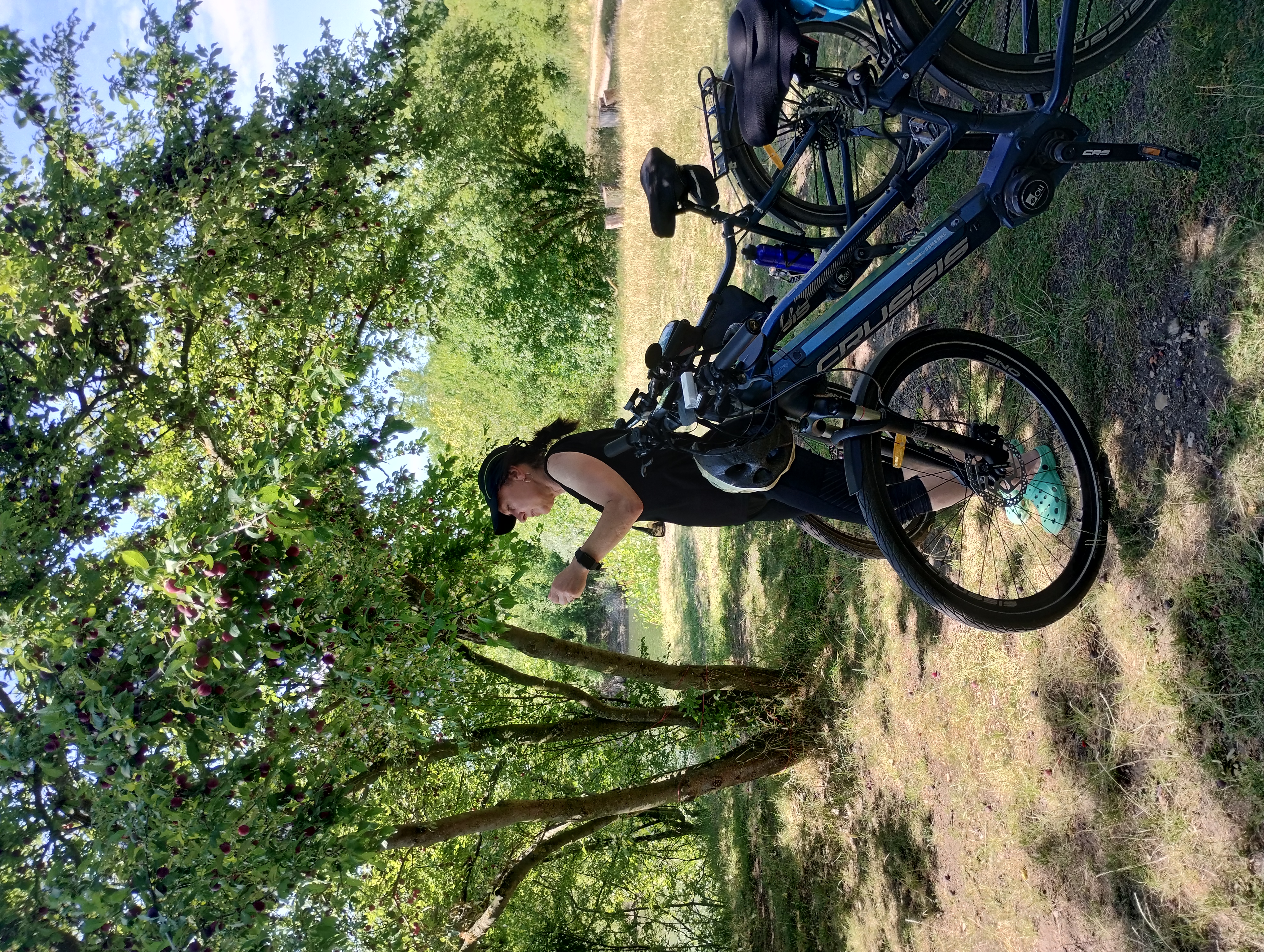 M. R. Štefánika do M. R. Štefánika