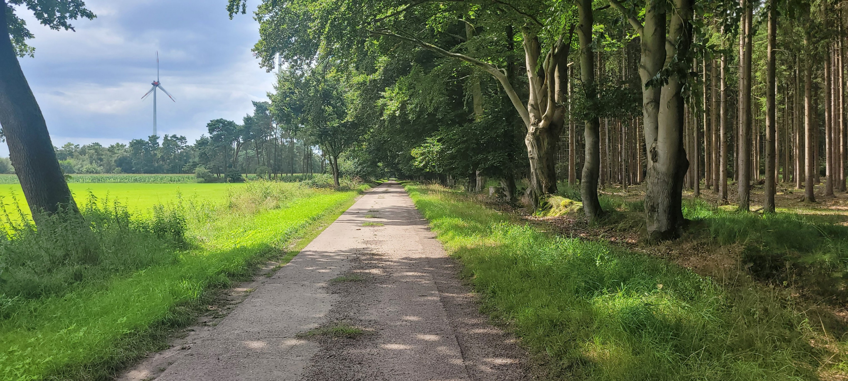 Photo 2 of the Bikemap route "Köhlen" Photo 2 of the Bikemap route "Köhlen"