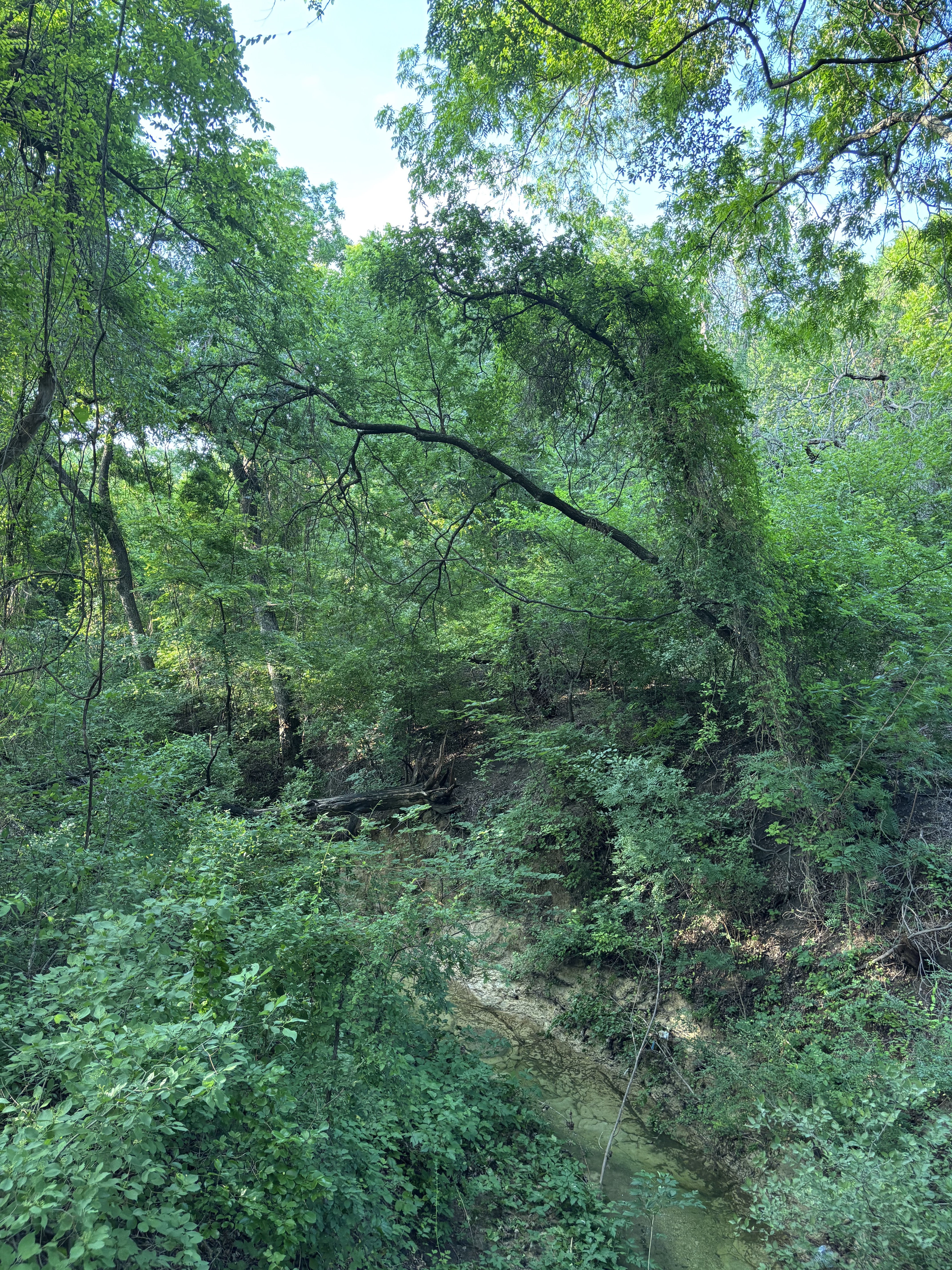 Sidney Ln, McKinney to Sidney Ln, McKinney