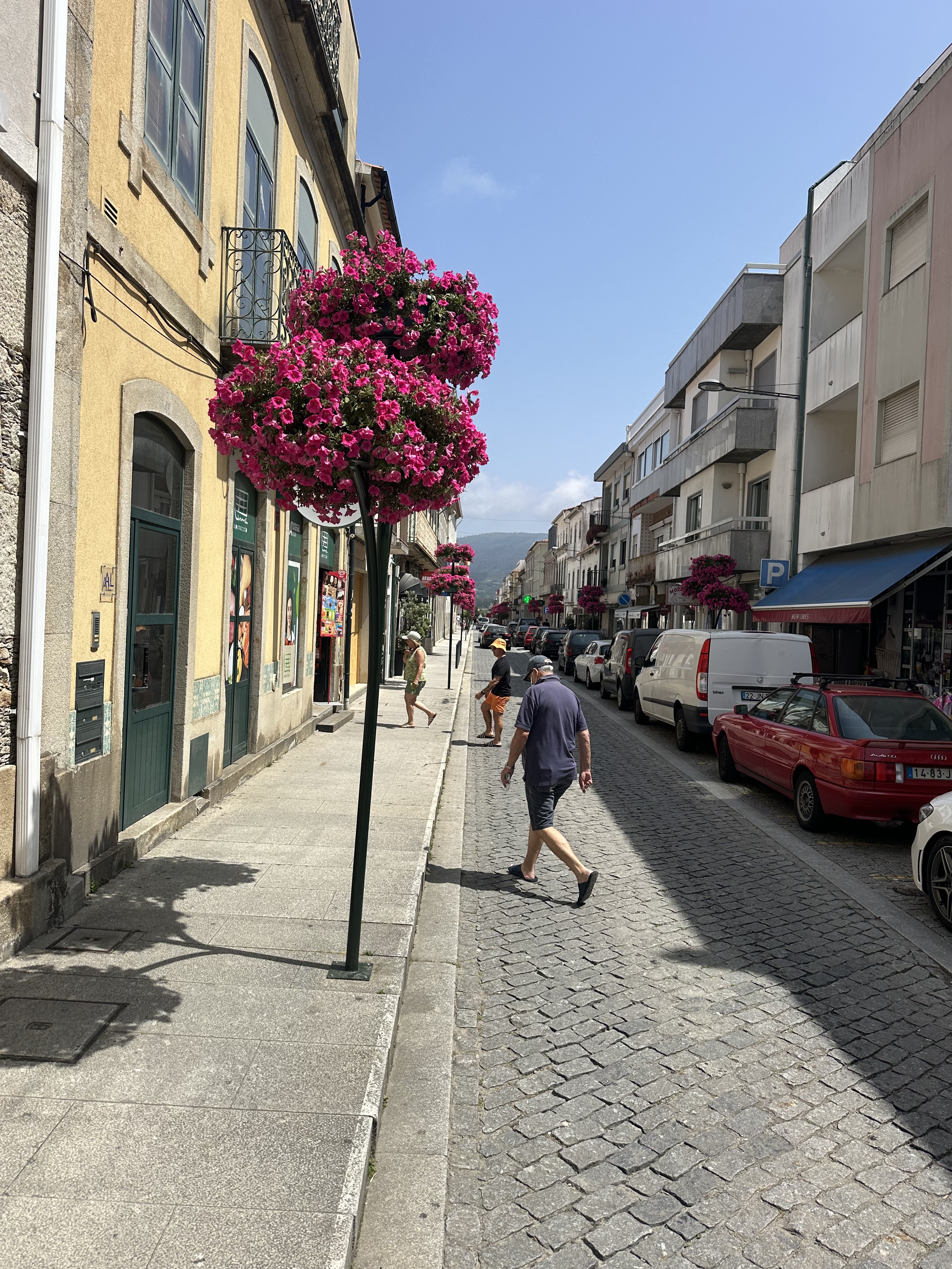 Passeio das Dunas, Esposende to Rua do Sol Posto, Vila Praia de Âncora