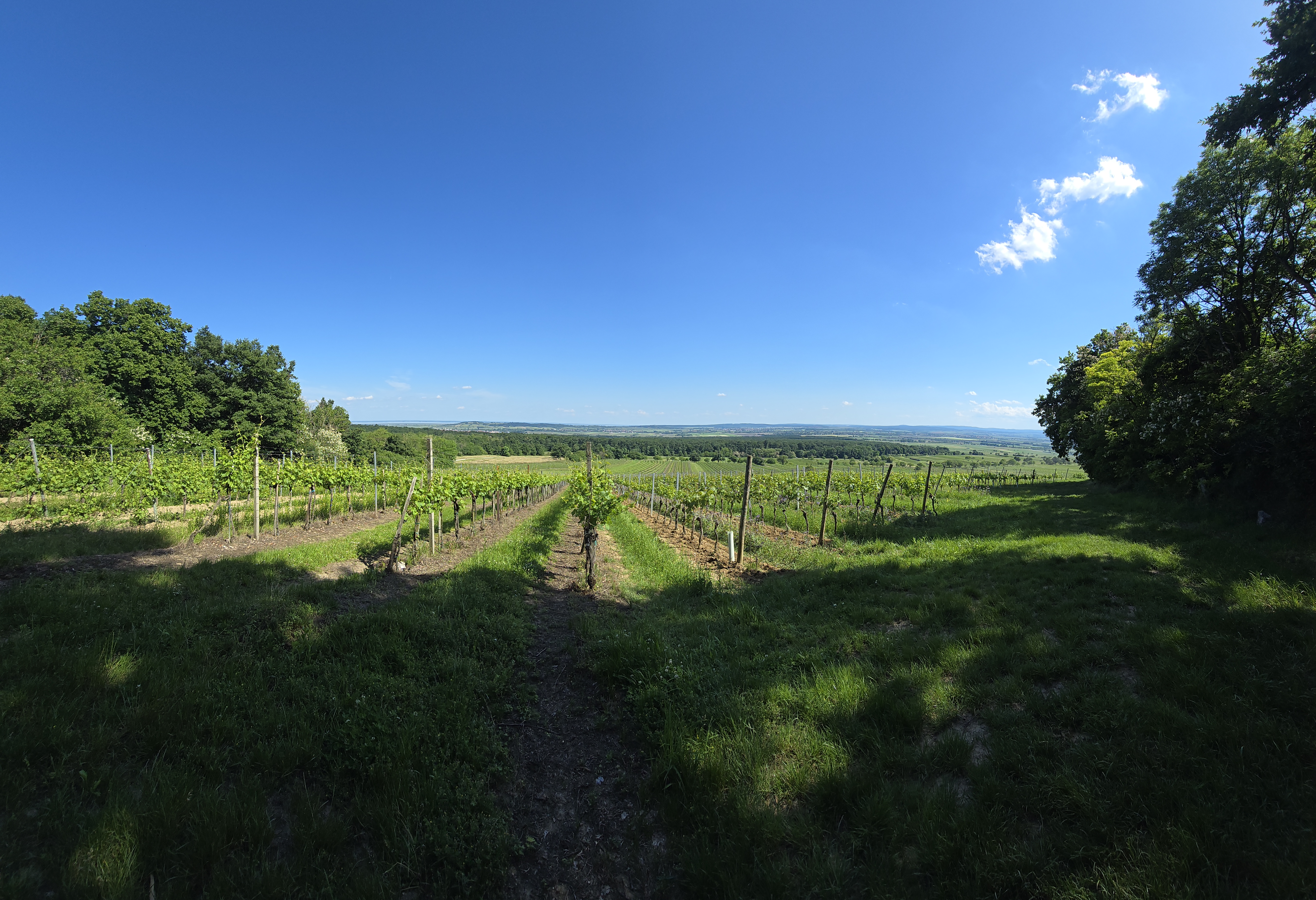 Photo 8 of the Bikemap route "Rundfahrt Quadrix"
