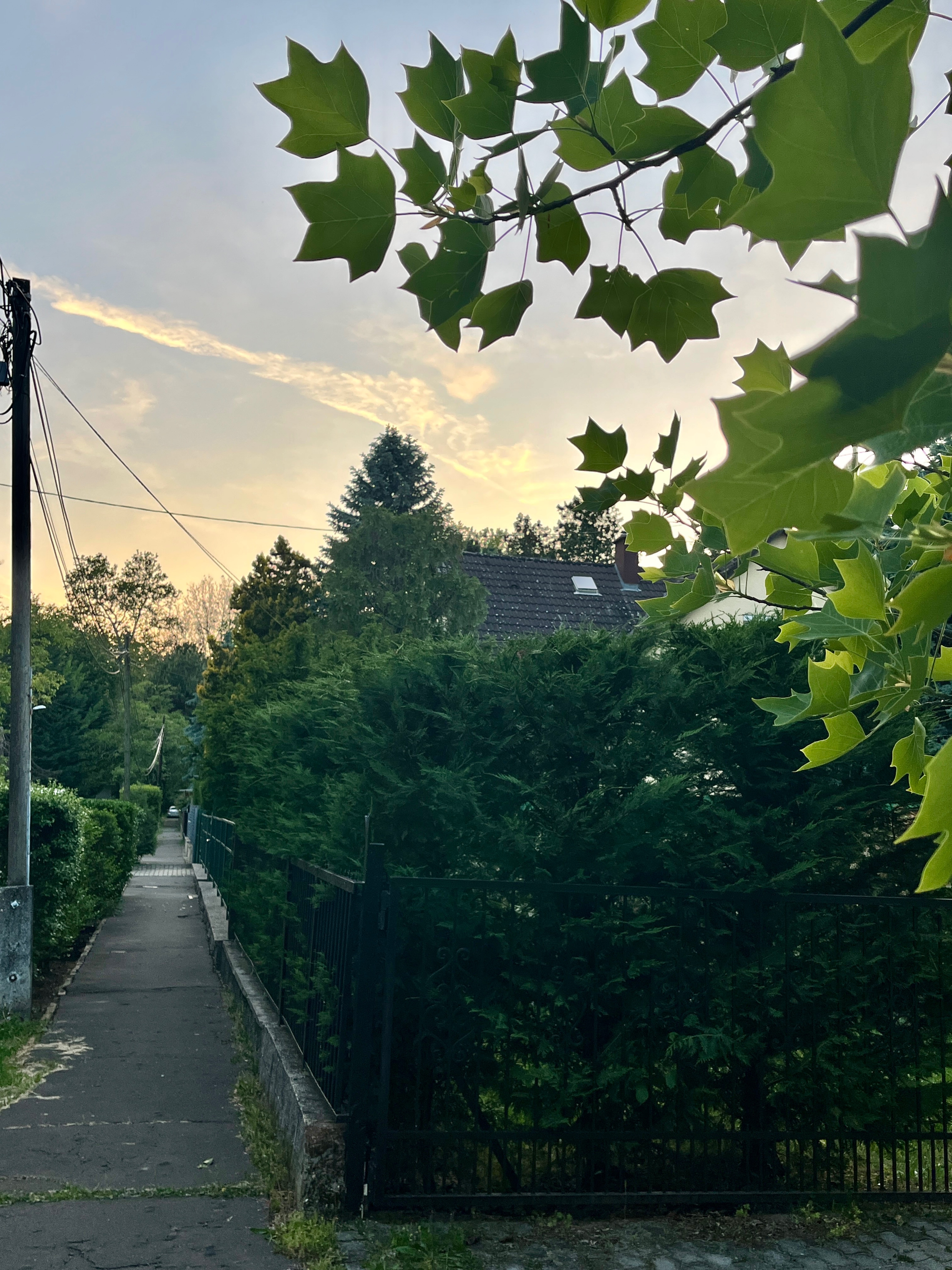 Vihar utca, Budapest to Őrlő utca, Budapest