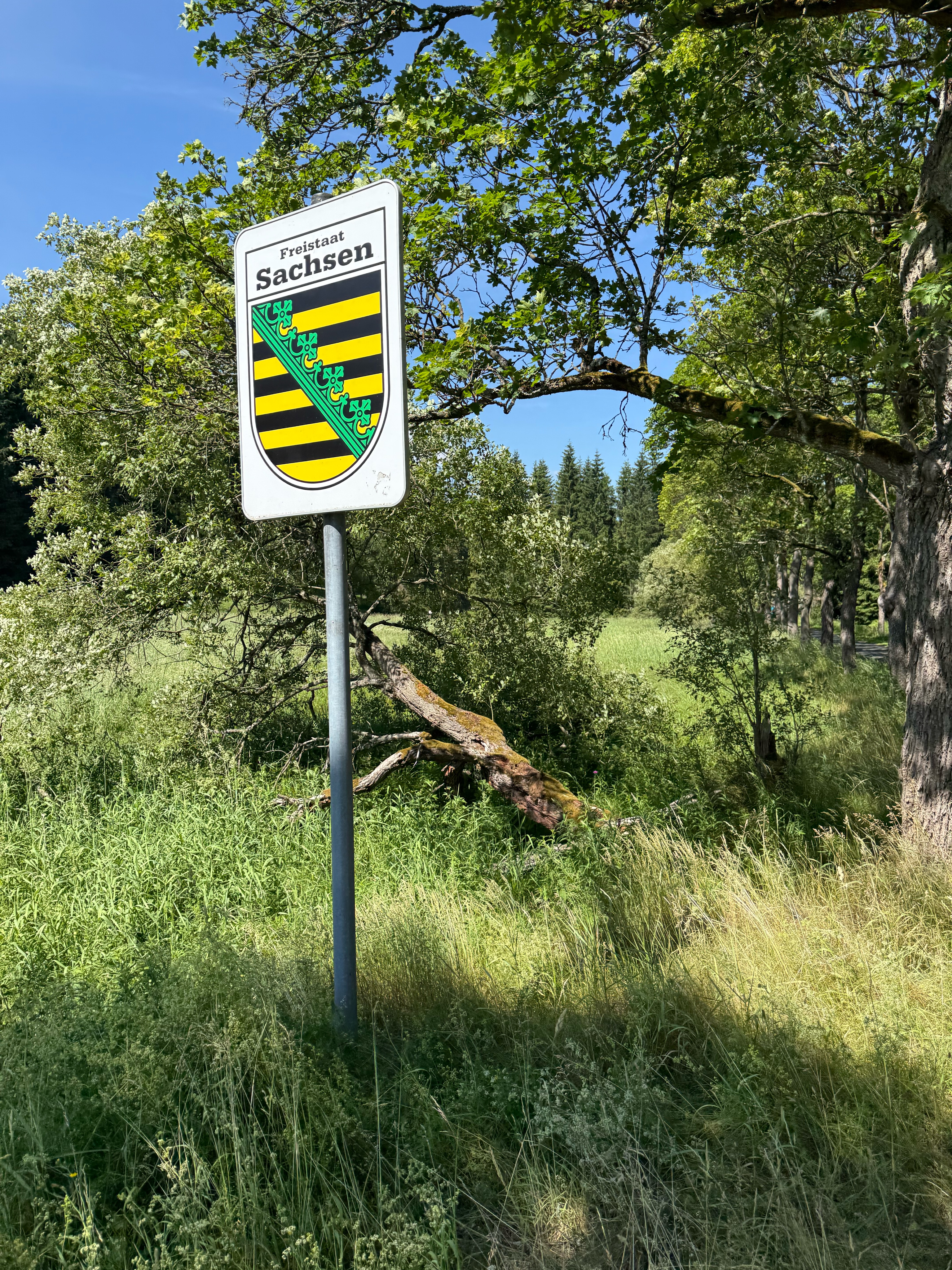Silnice 01310, Osek do Vilová, Horní Jiřetín