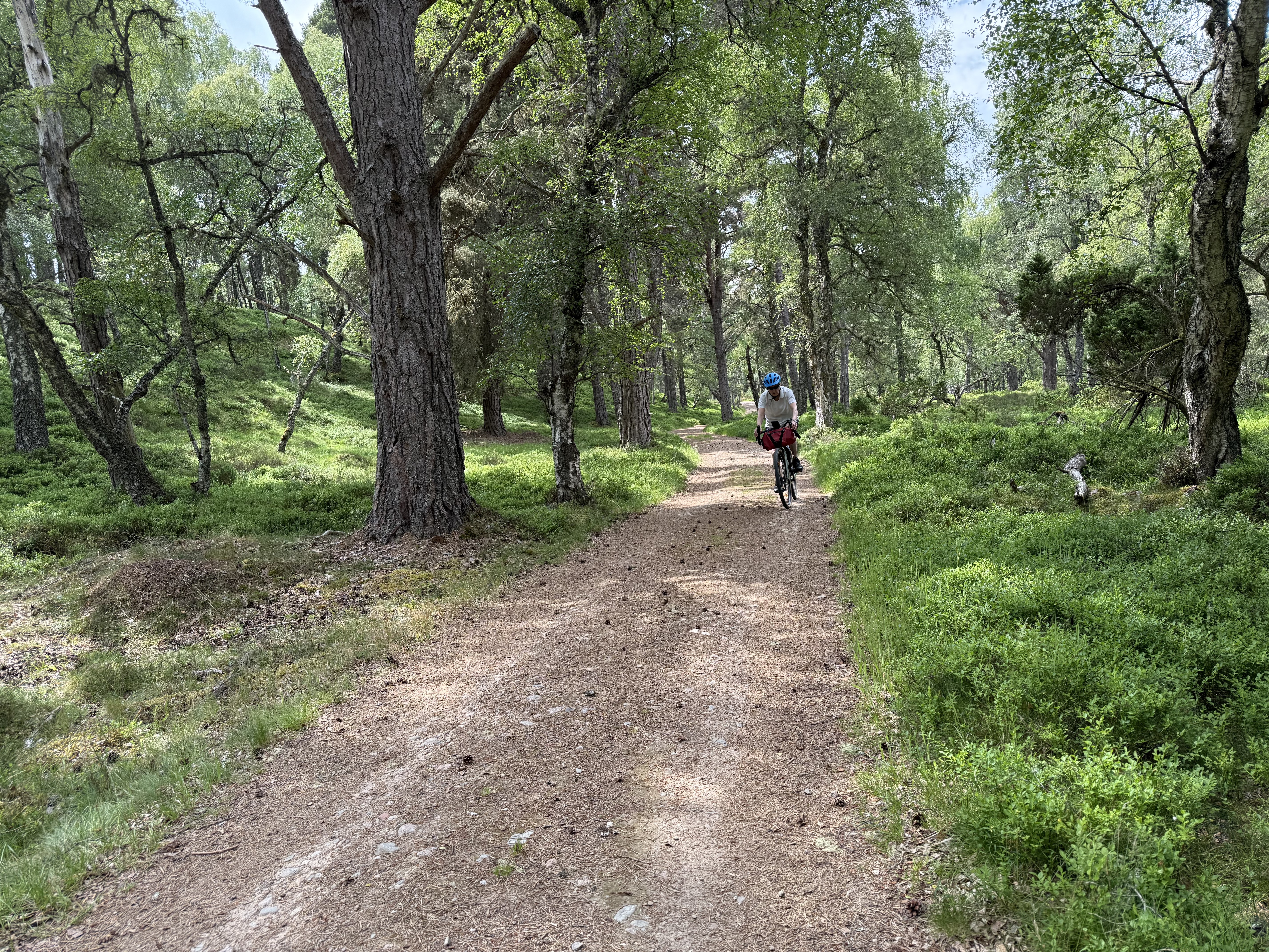 Myrtlefield, Aviemore to Rymore, Nethy Bridge