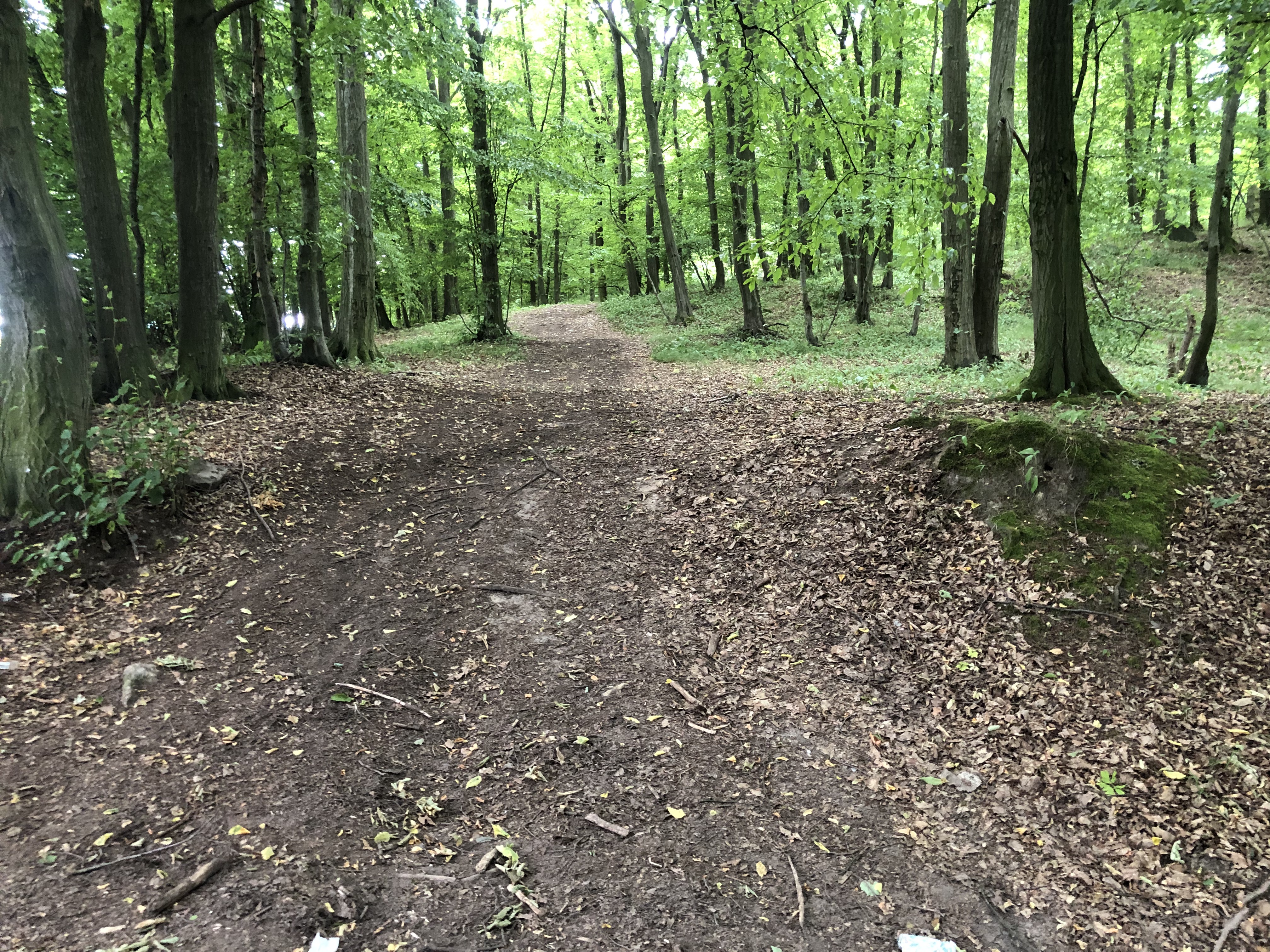 Adama Mickiewicza, Zawidów do Adama Mickiewicza, Zawidów