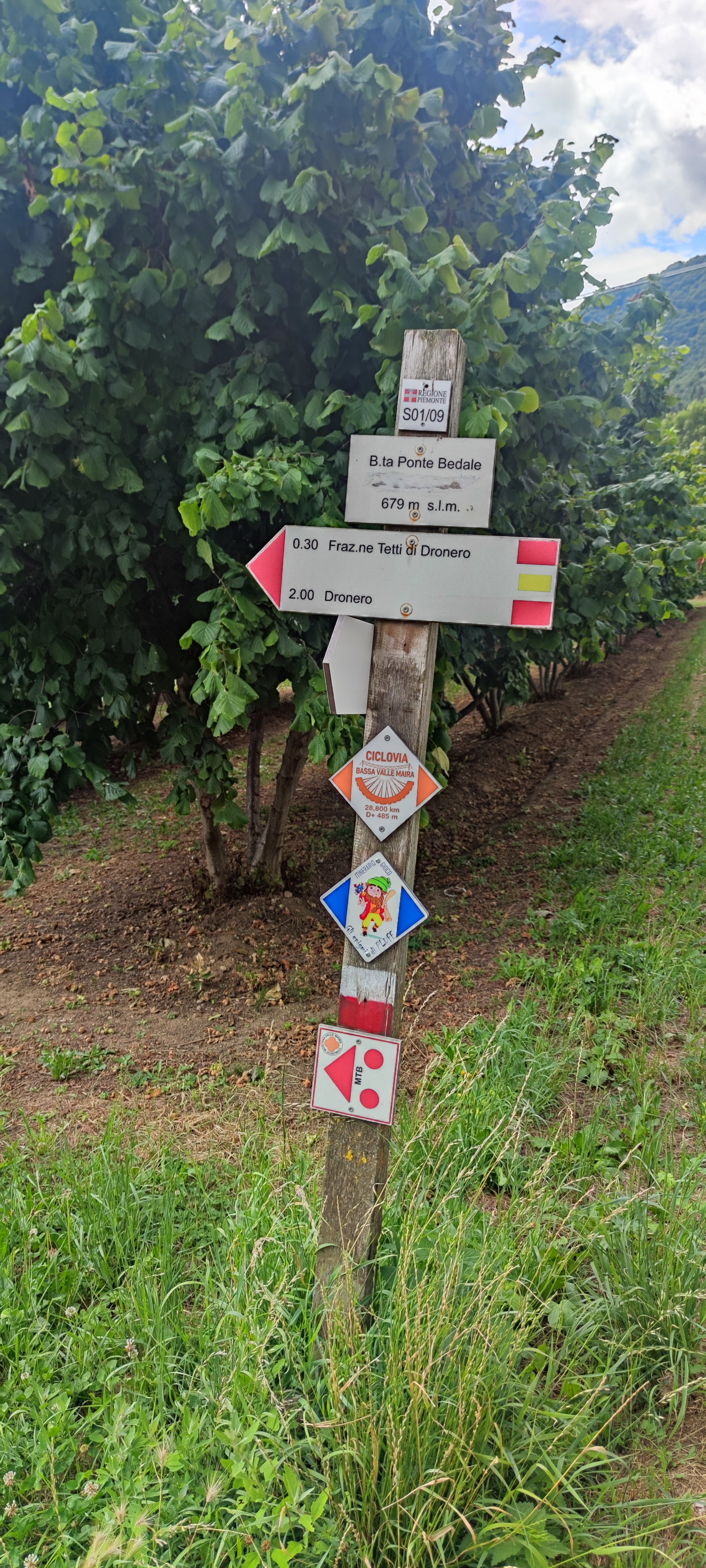 Da Via Buia a Via Buia