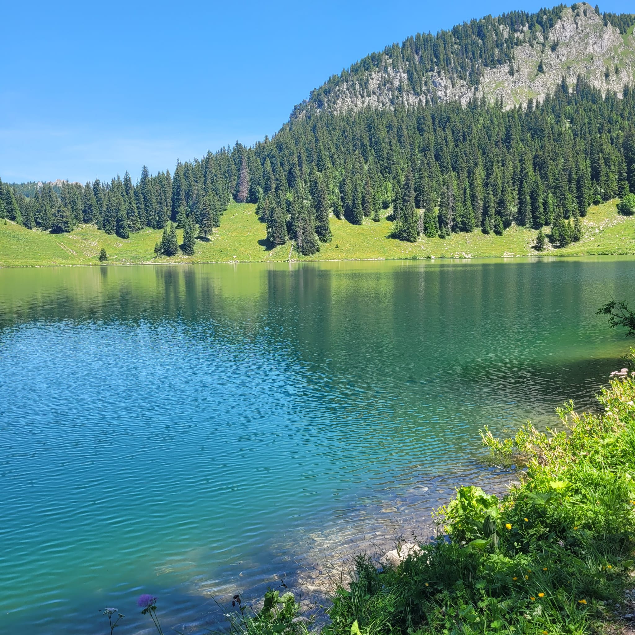 Oberlandstrasse nach Oberlandstrasse