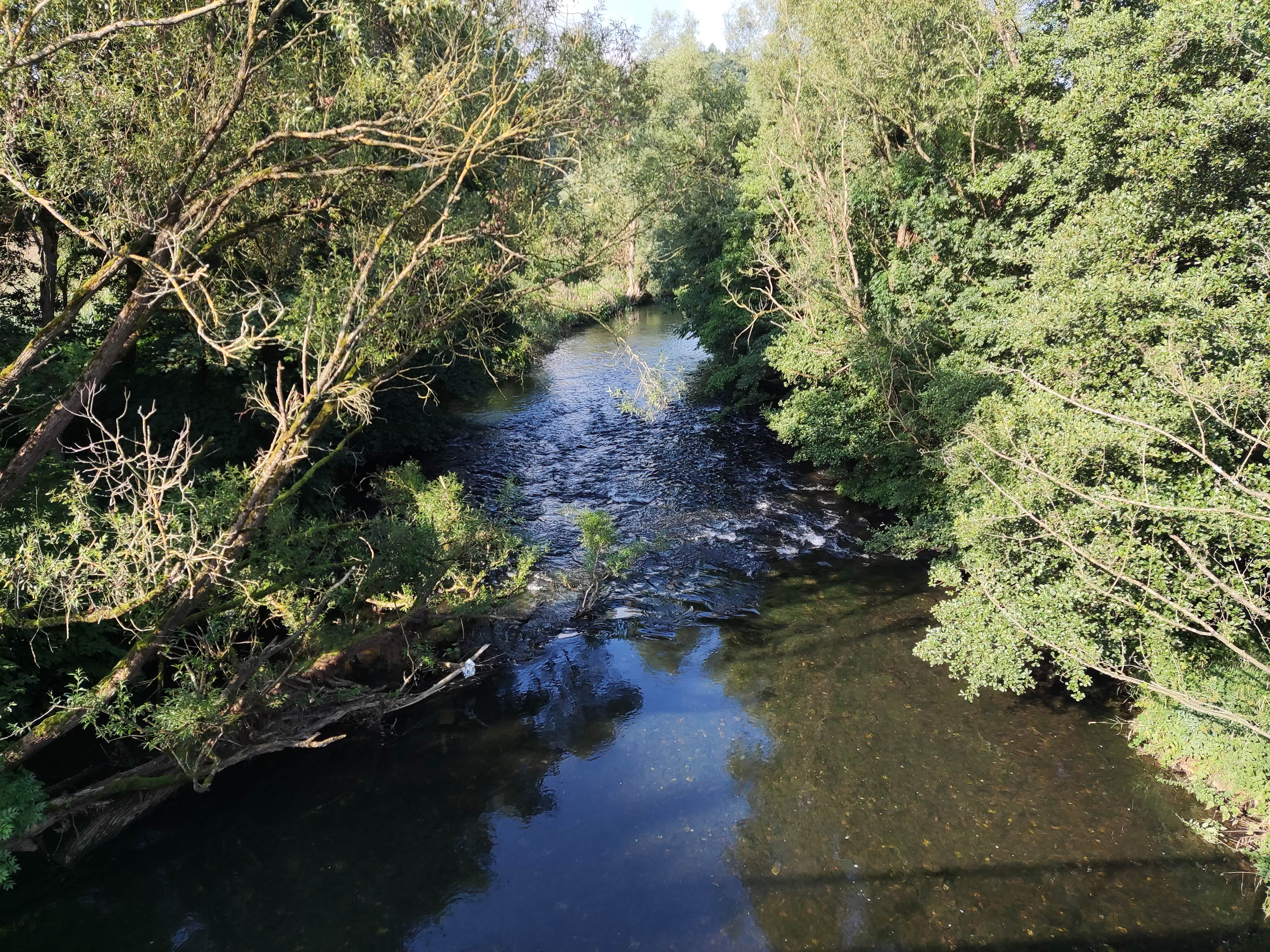MTB-Tour Wennemen, Calle, Oesterberge, Büenfeld, Erflinghausen, Horbach, Remblinghausen, Löllinghausen, Klause, Schederberge, Meschede, Stockhausen, Wennemen.