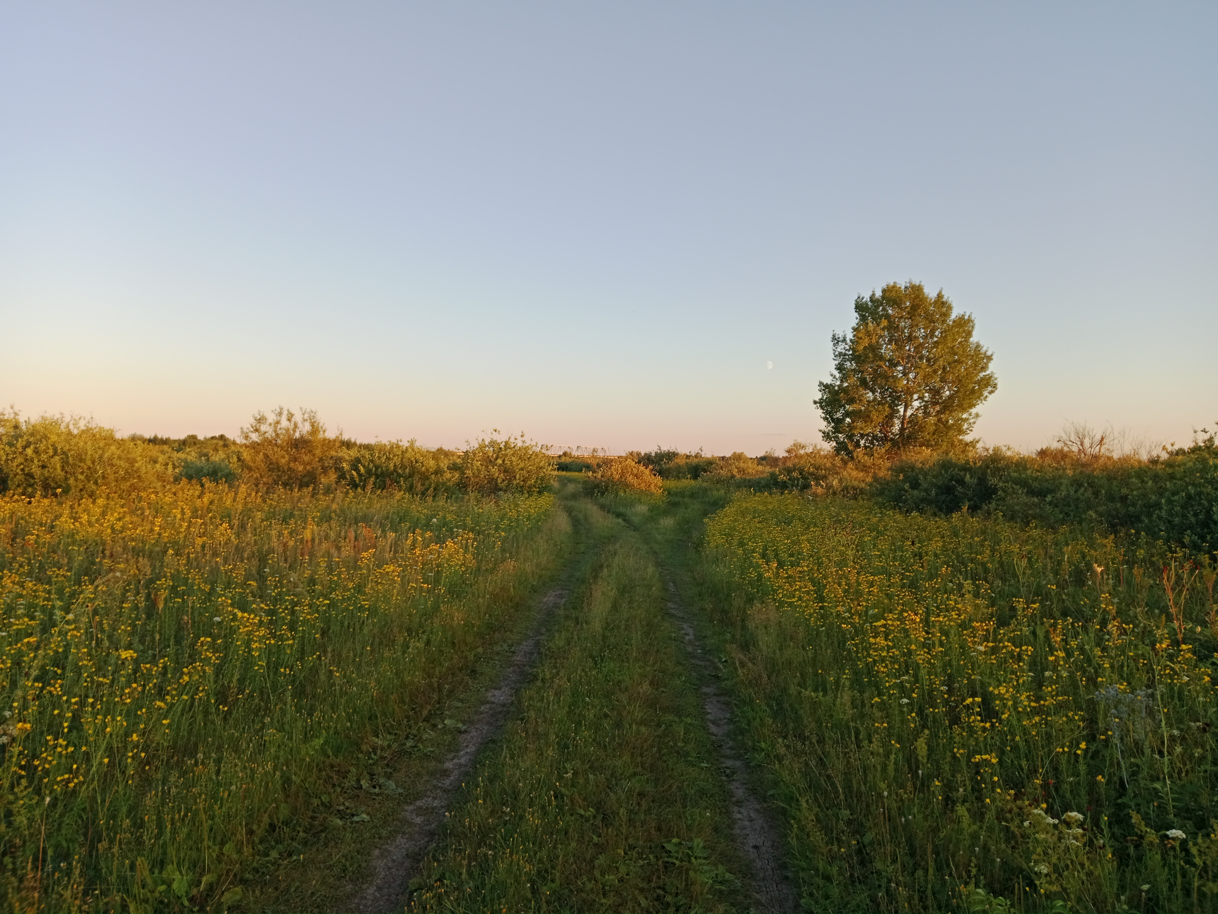 Foto 8 der Bikemap-Route "От улица Биктимирова до Советская улица"