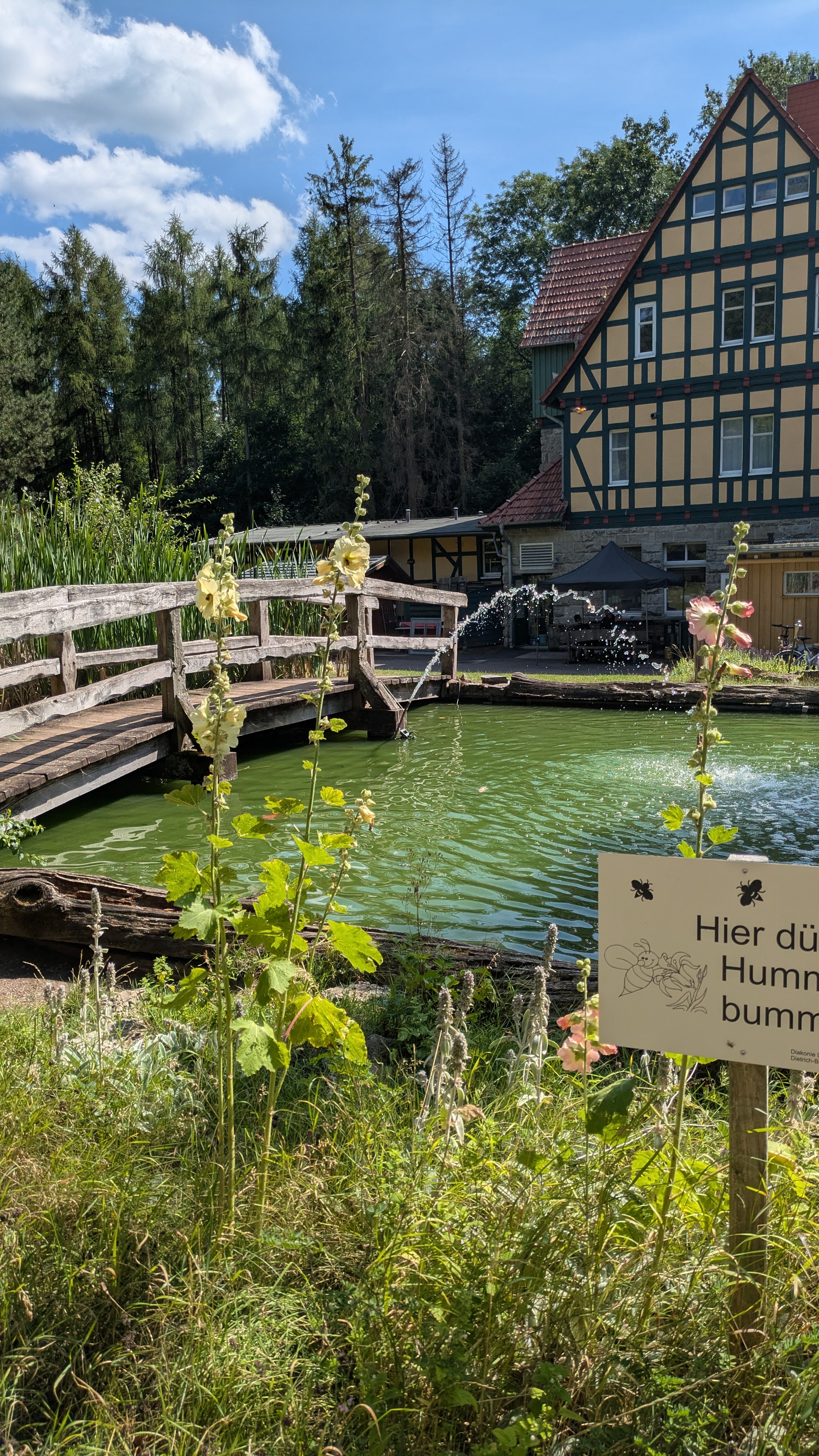 Foto 8 der Bikemap-Route "Börnersberg nach Börnersberg"