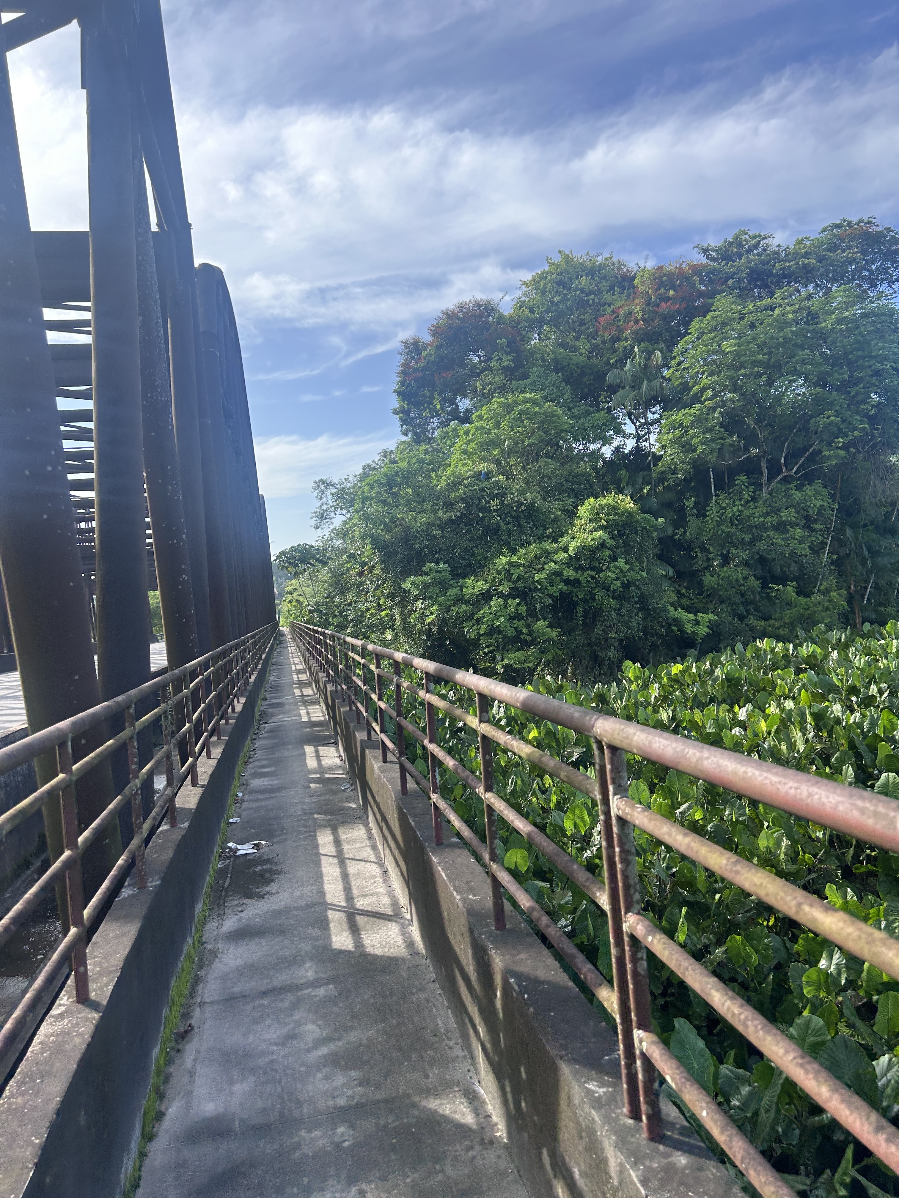 🚴🚴🚴🚴🚴