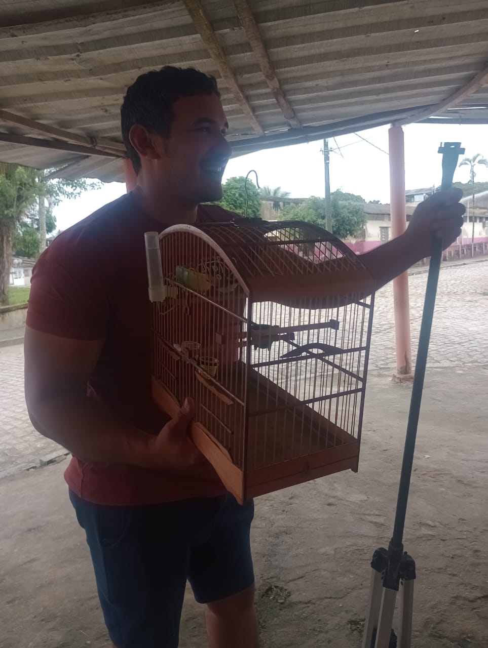 De Rua João Luiz da Costa Gomes a Rua Sempre Viva