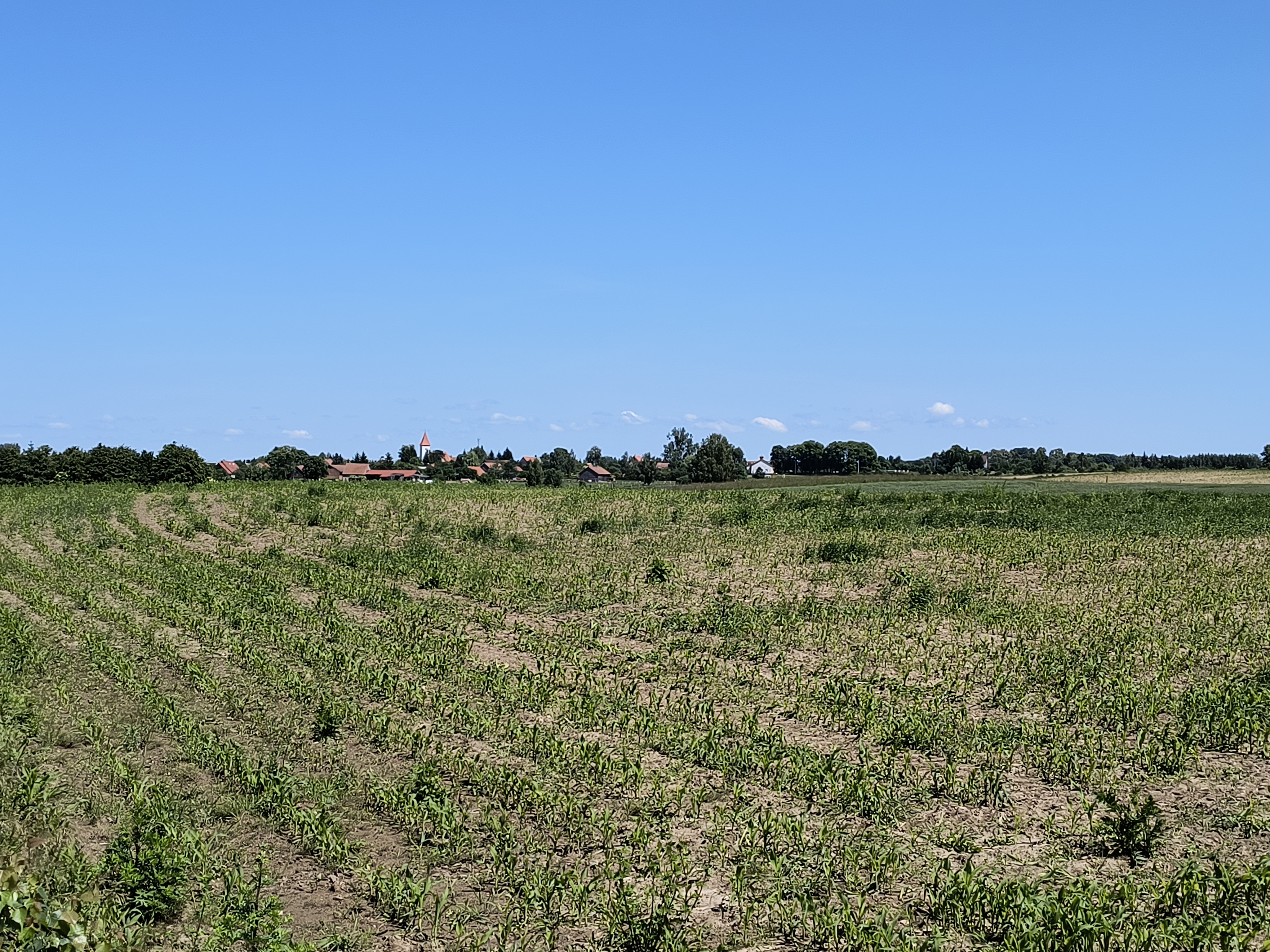 Wałdowo do Wałdowo