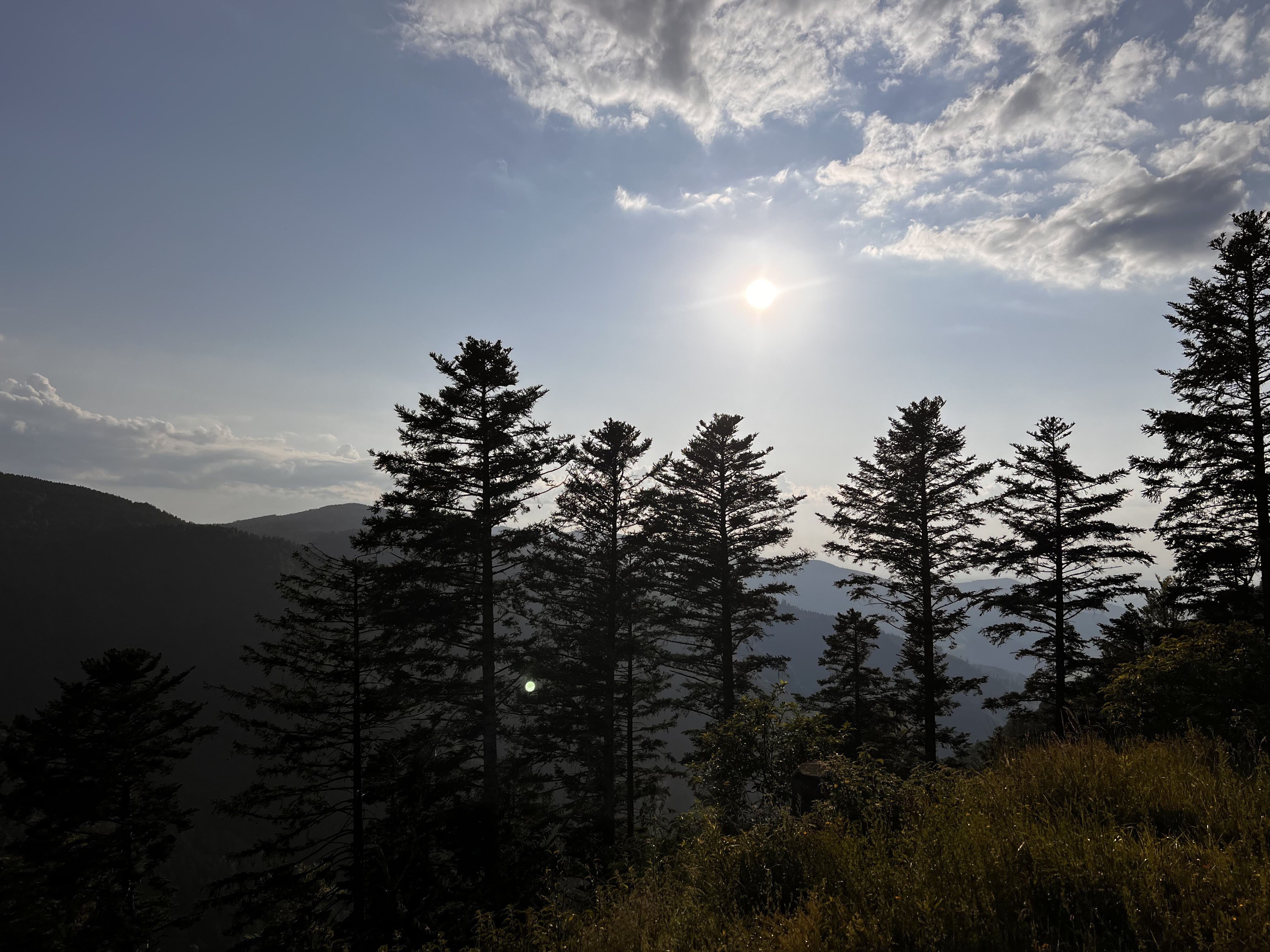 Ebnet Hinterwaldkopf Ebnet,