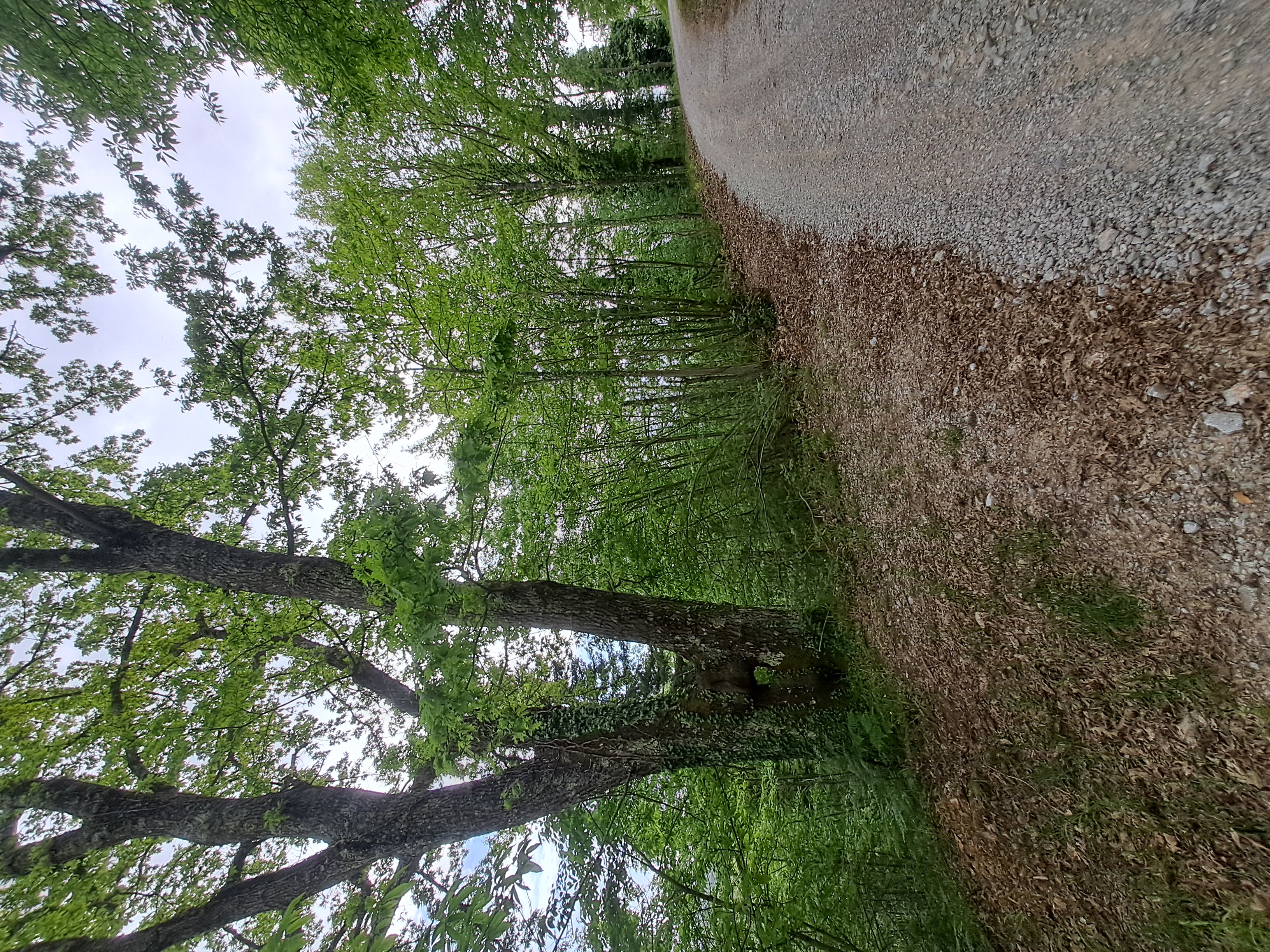 Badia to MonteLuco to Moncioni