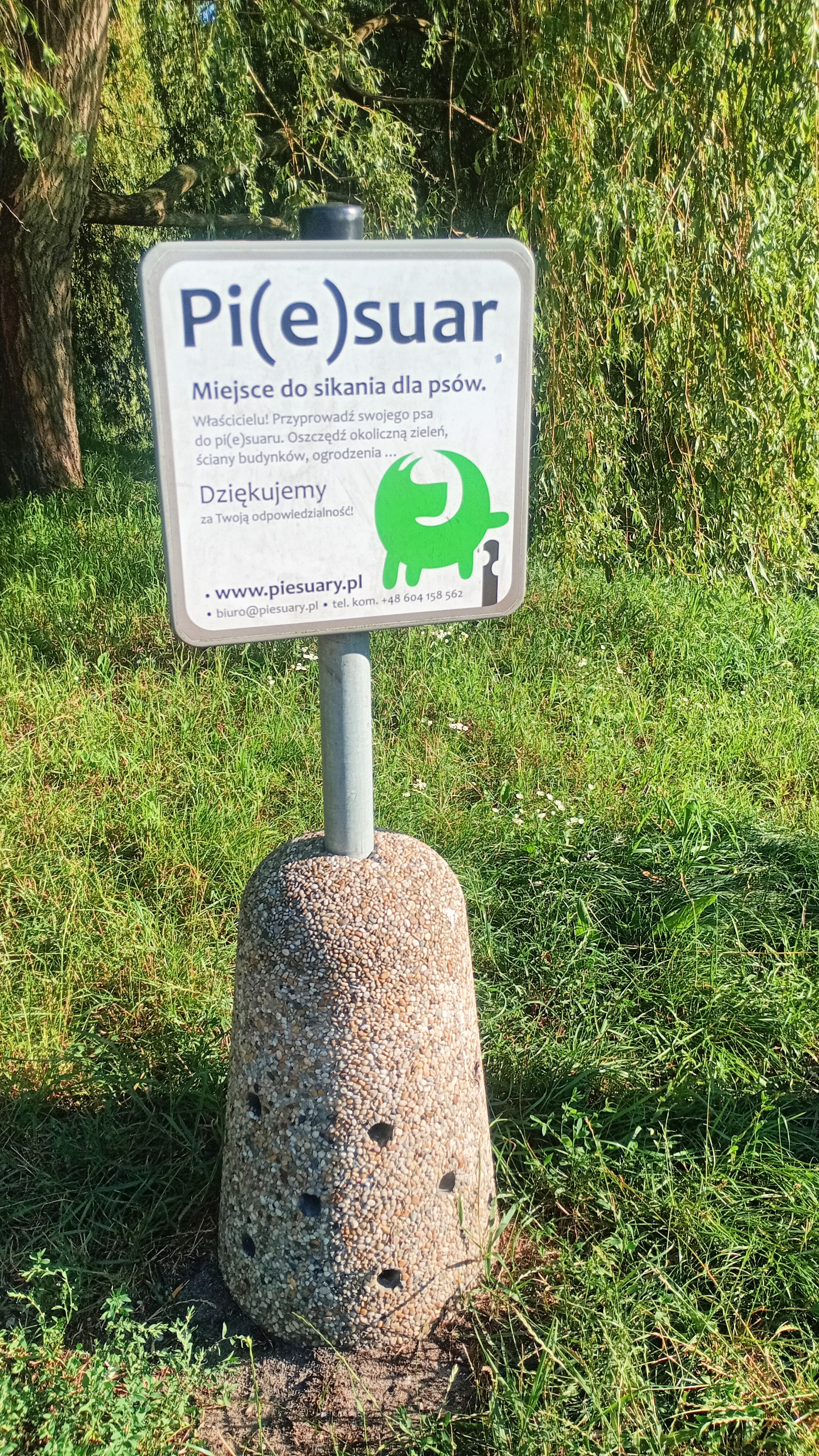 plac Zamkowy do Potocka