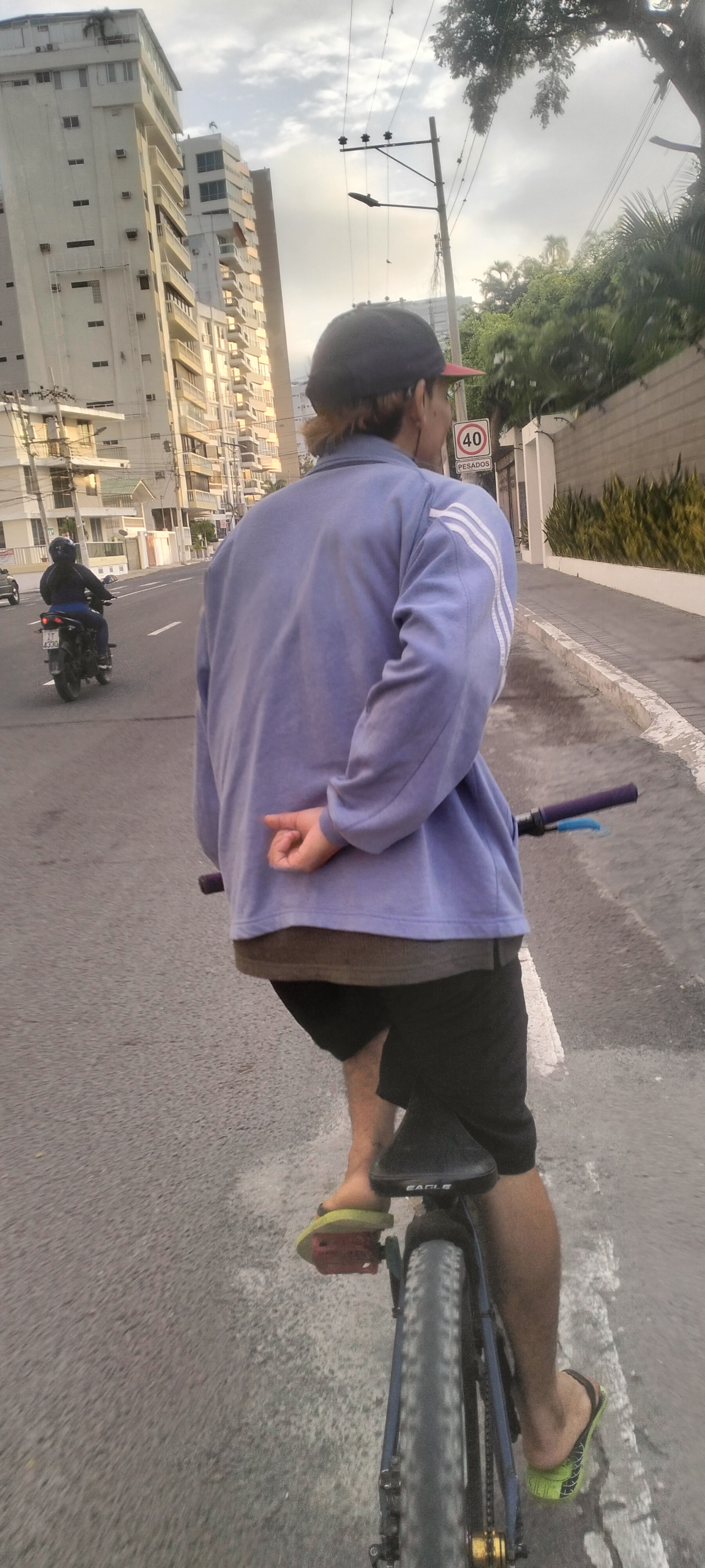 Ruta moderata