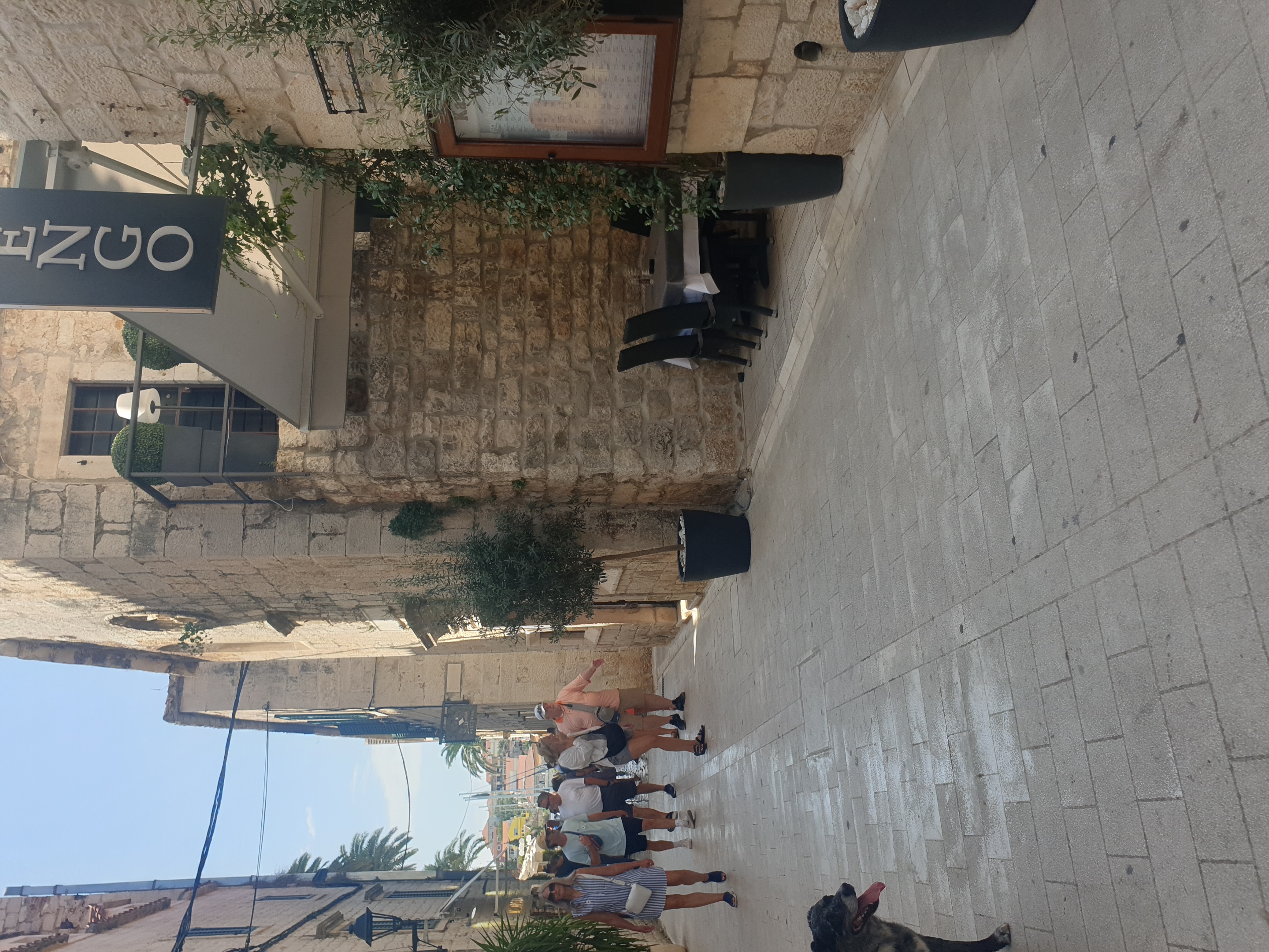 Foto 2 del percorso Bikemap "BufaliÄi 1A nach Trogir" Foto 2 del percorso Bikemap "BufaliÄi 1A nach Trogir"