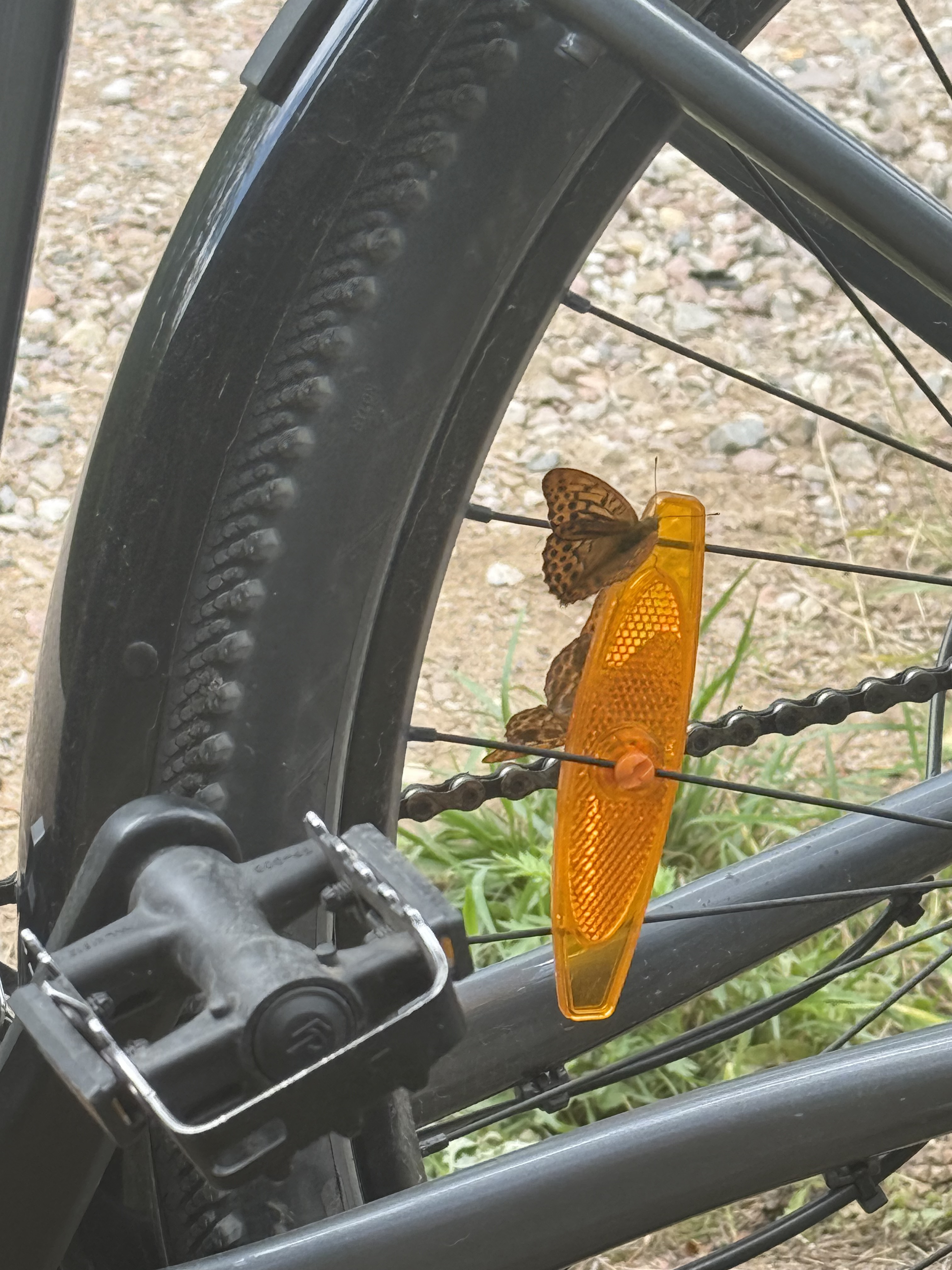 Foto 6 de la ruta de Bikemap "I Daszyńskiego, Suwałki do I Daszyńskiego, Suwałki" Foto 6 de la ruta de Bikemap "I Daszyńskiego, Suwałki do I Daszyńskiego, Suwałki"