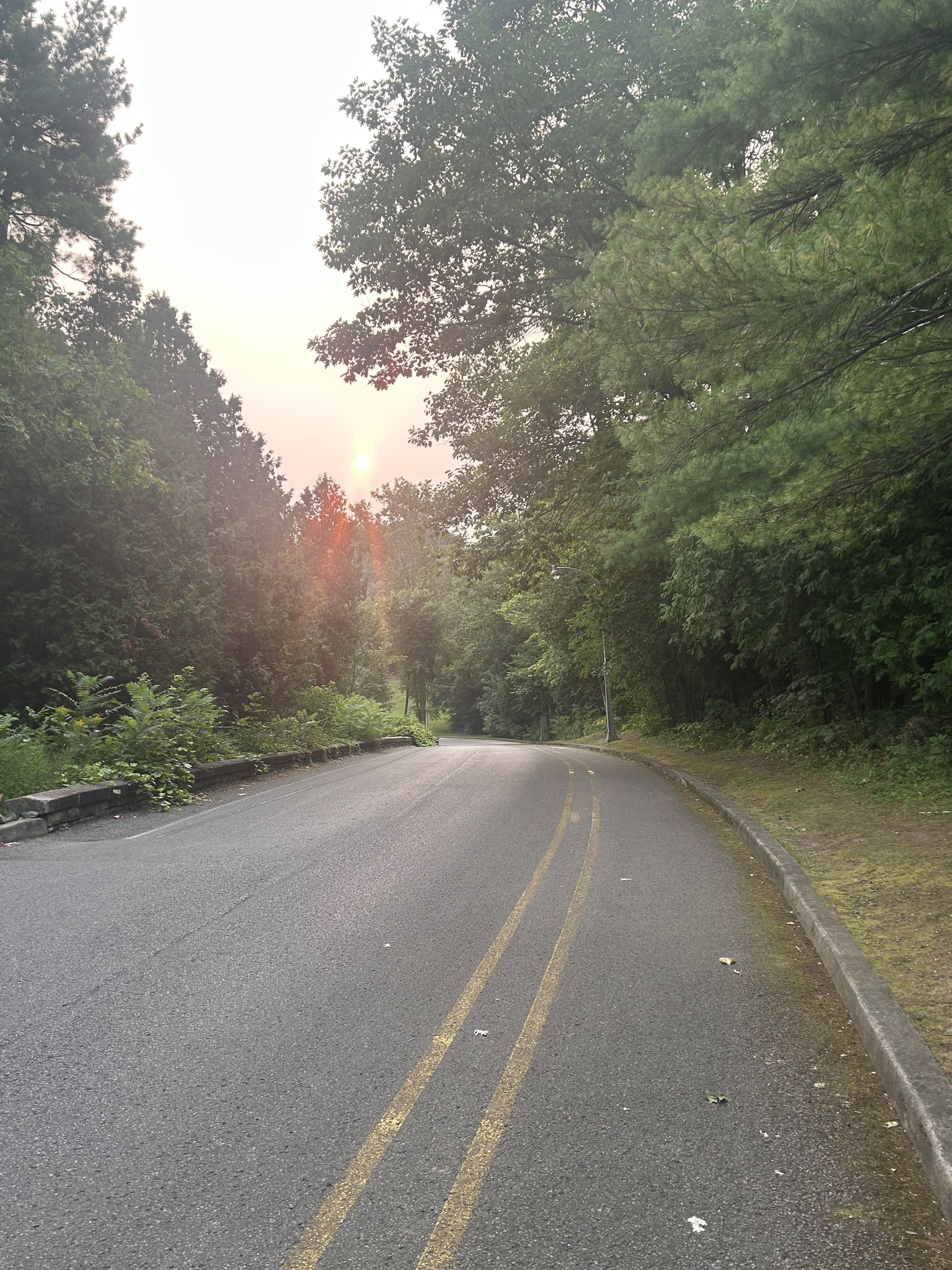Riverside Park, Ottawa to Portland Ave, Ottawa